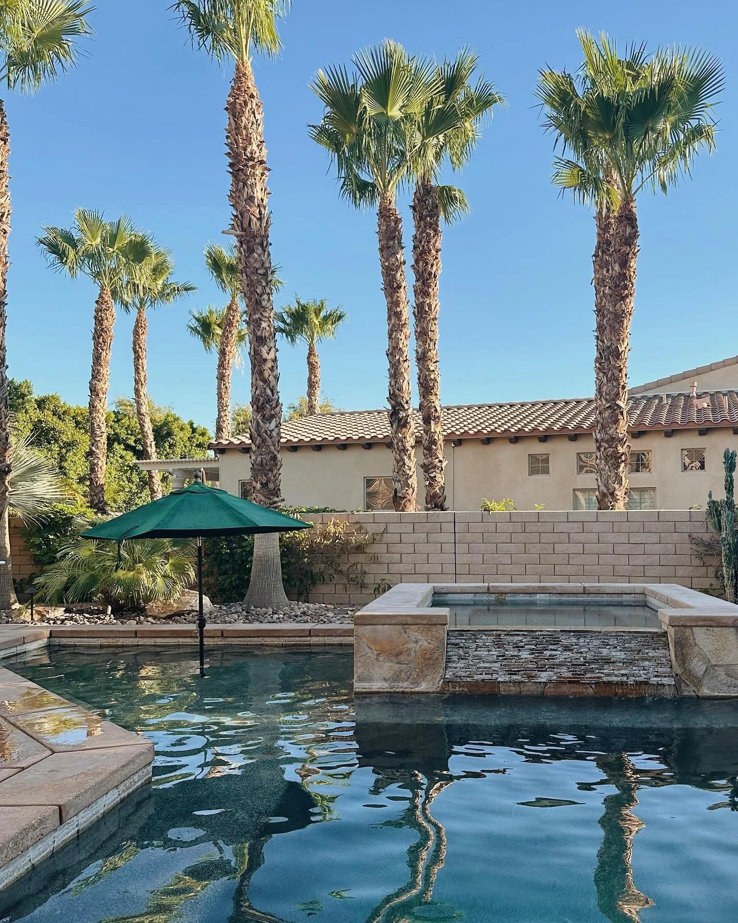 june mems 🌼🩵🥐🥂