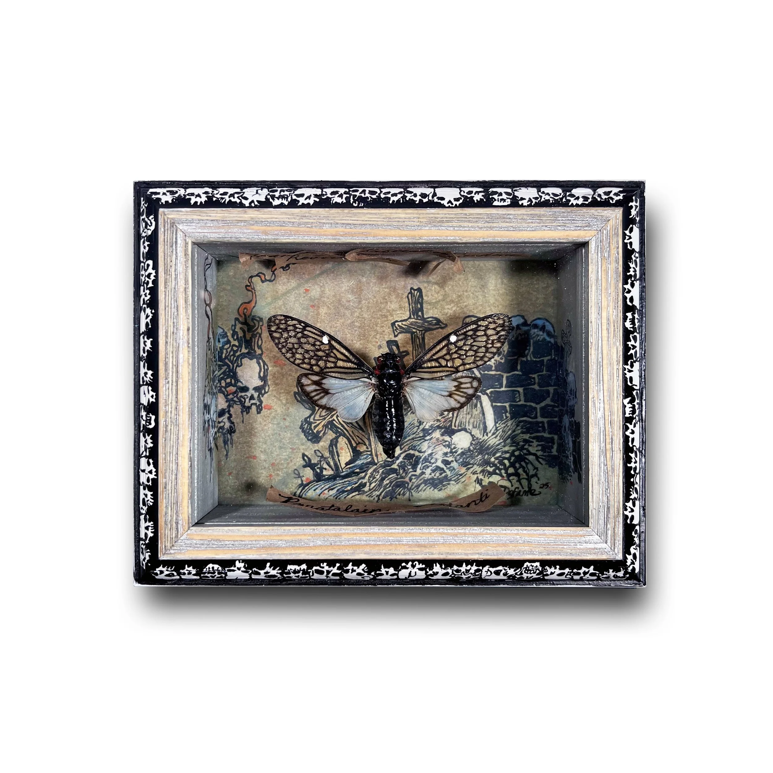 Eyes That See_Main.jpg