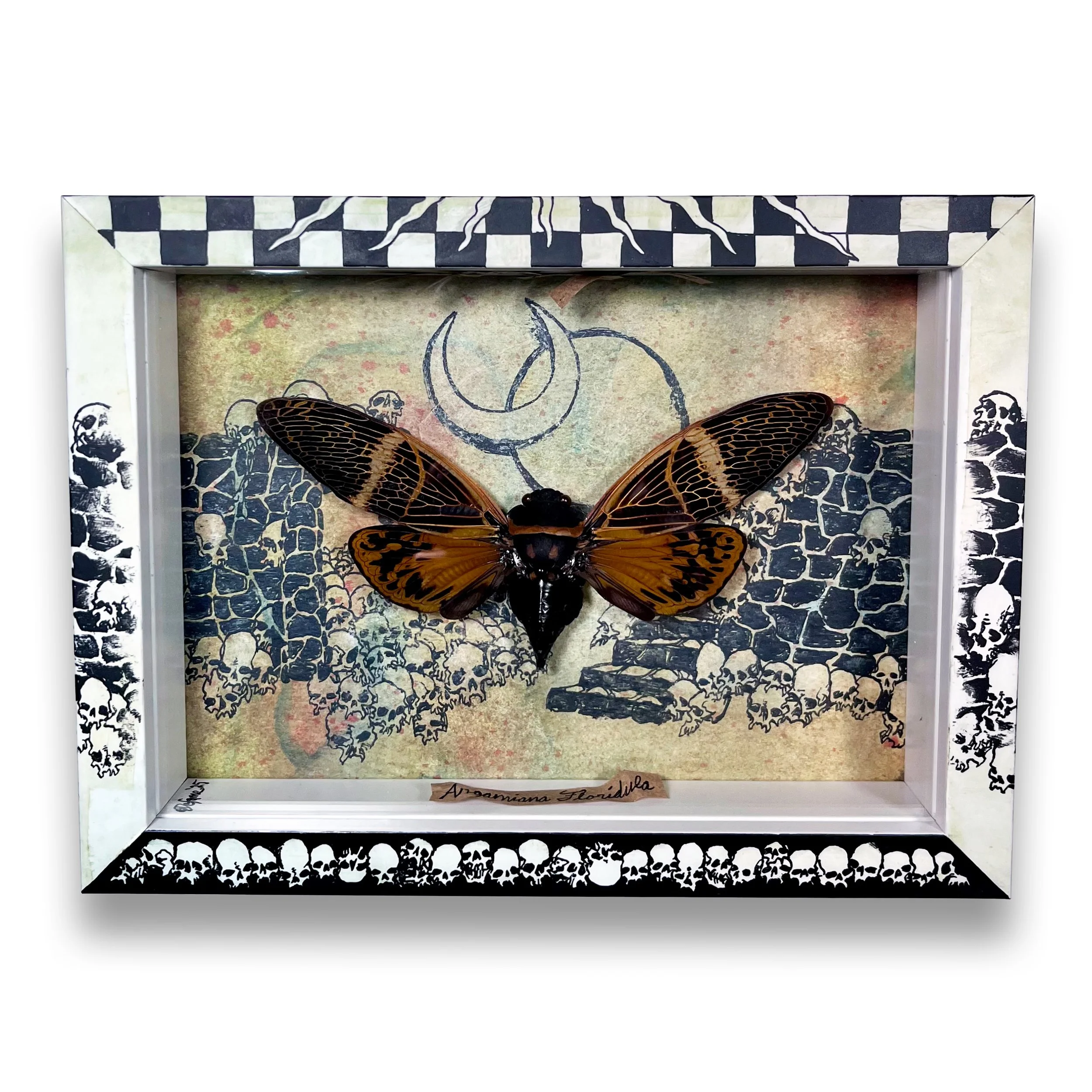 Lunar Dwelling_Main.jpg