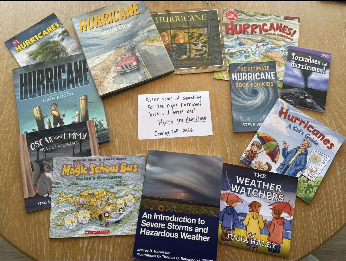 The Hurricane Book I Wished Existed