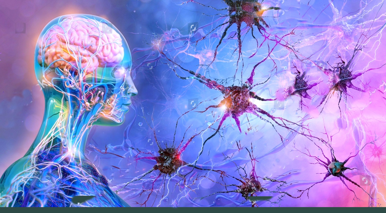 En el periodismo, la verdad no existe