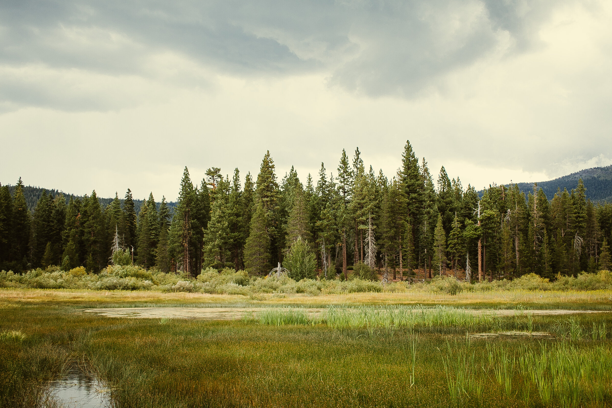 chelsey rader photography-4458.jpg