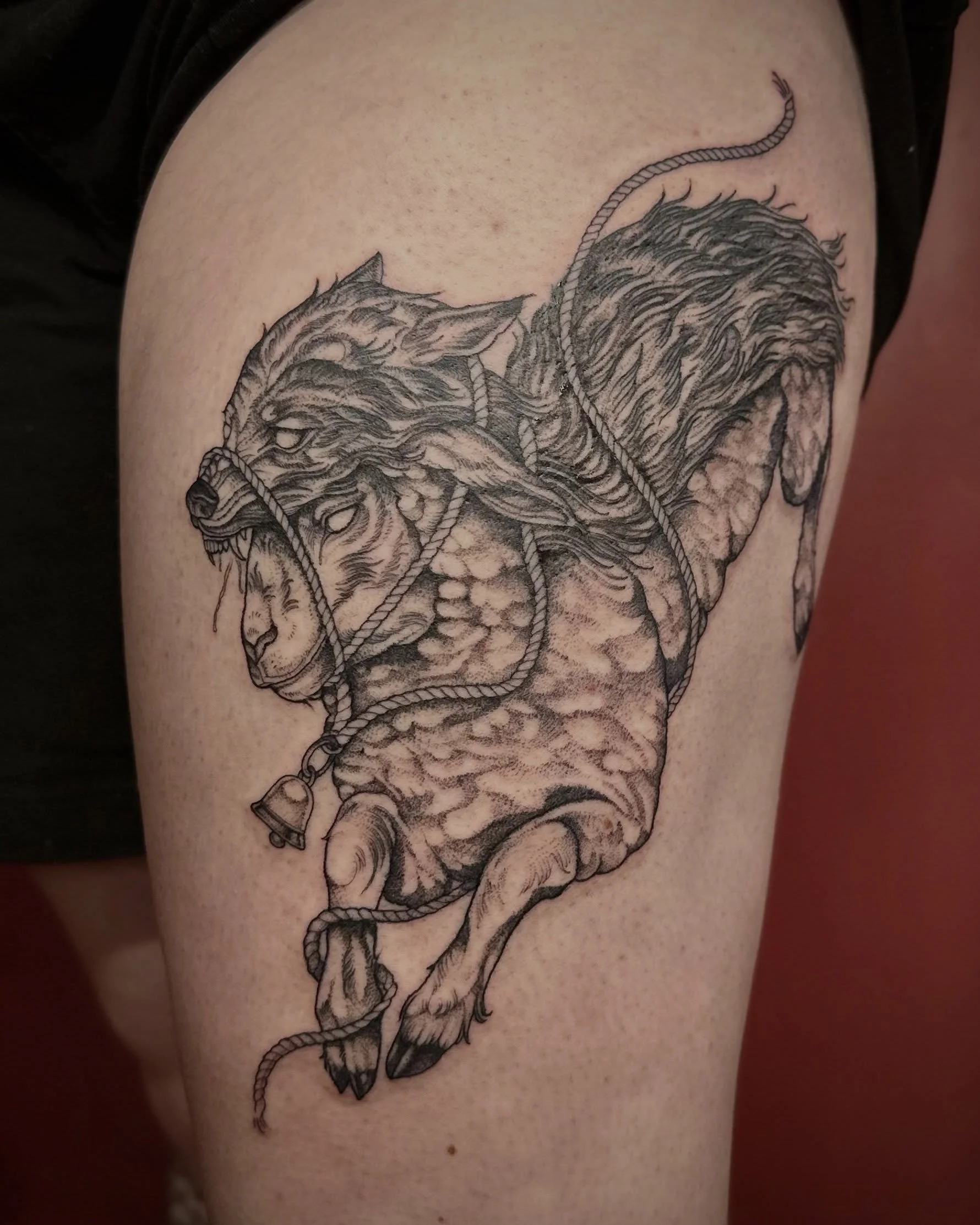Sheep in wolf&rsquo;s clothing I had the pleasure of tattooing recently! Love this concept, thanks for the trust!
&bull;
&bull;
&bull;
#sheeptattoo #wolftattoo #ladytattooers #tattoo #pennsylvaniatattooartist
