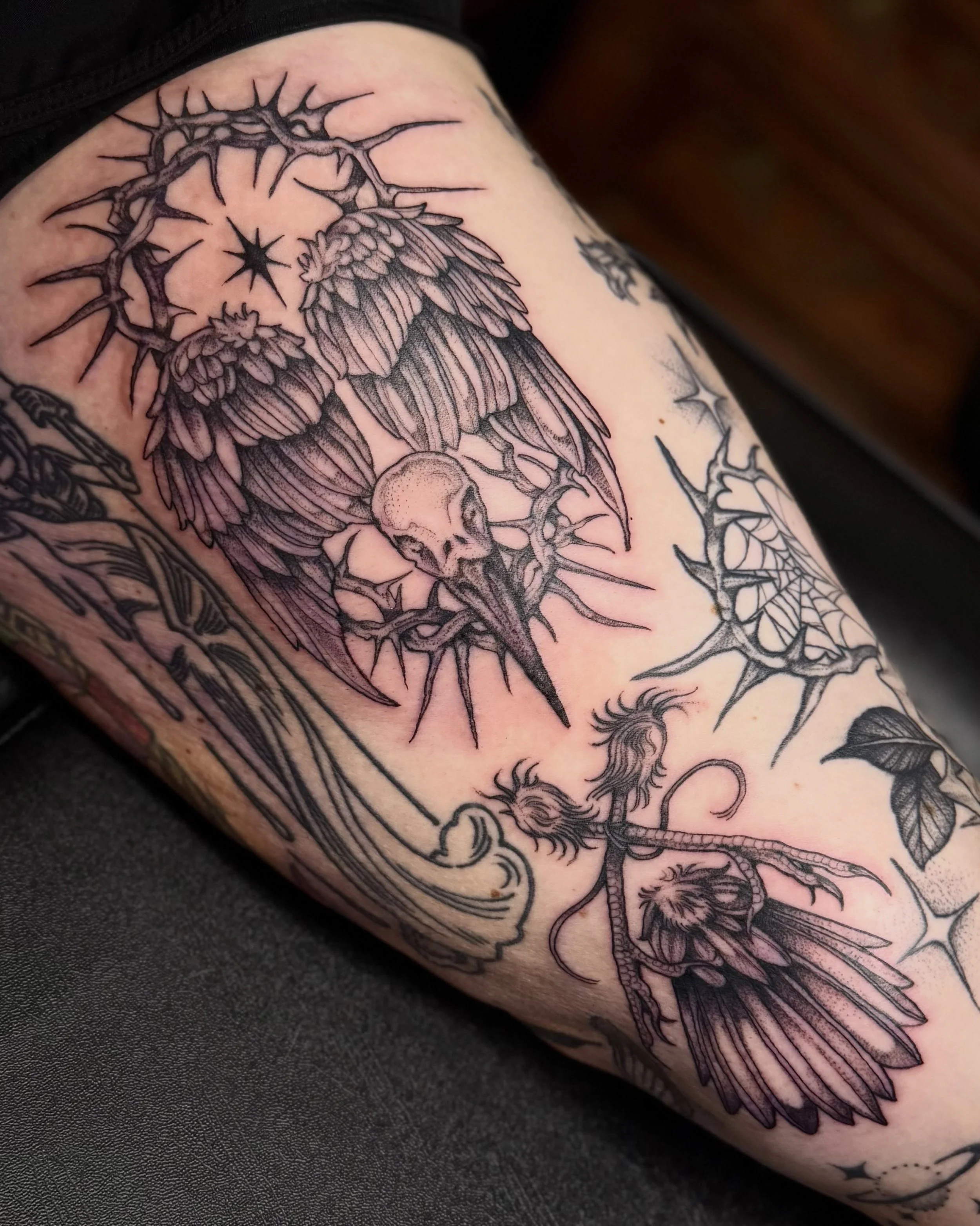 Tattooed this segmented bird piece as a gap filler a bit ago! This piece is an altered version of one of my flash designs (I had a lot of requests for that specific design so I have done a few different variations of it.) Big thanks to my client for 