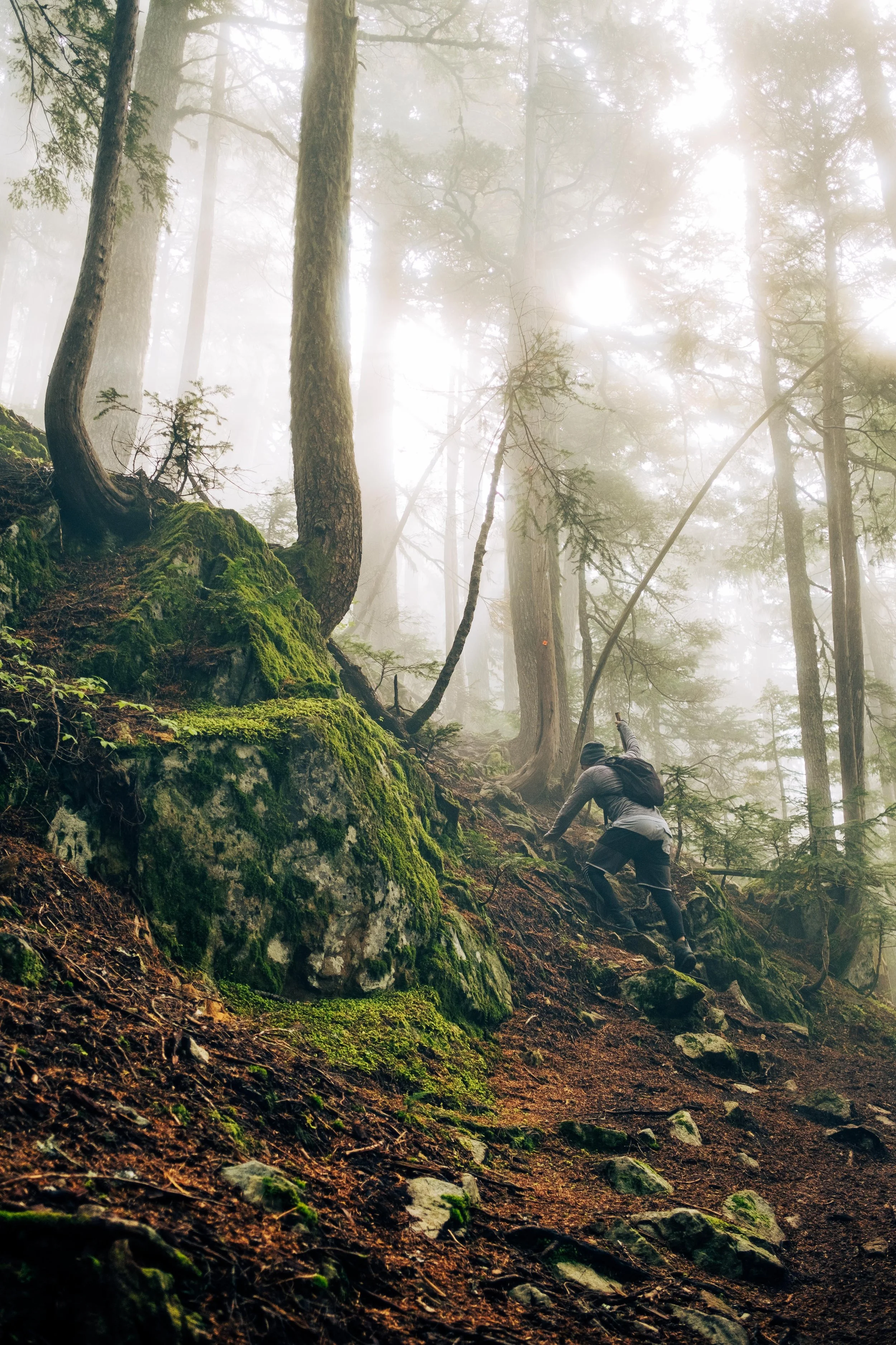 Mahahual birds-13.jpg