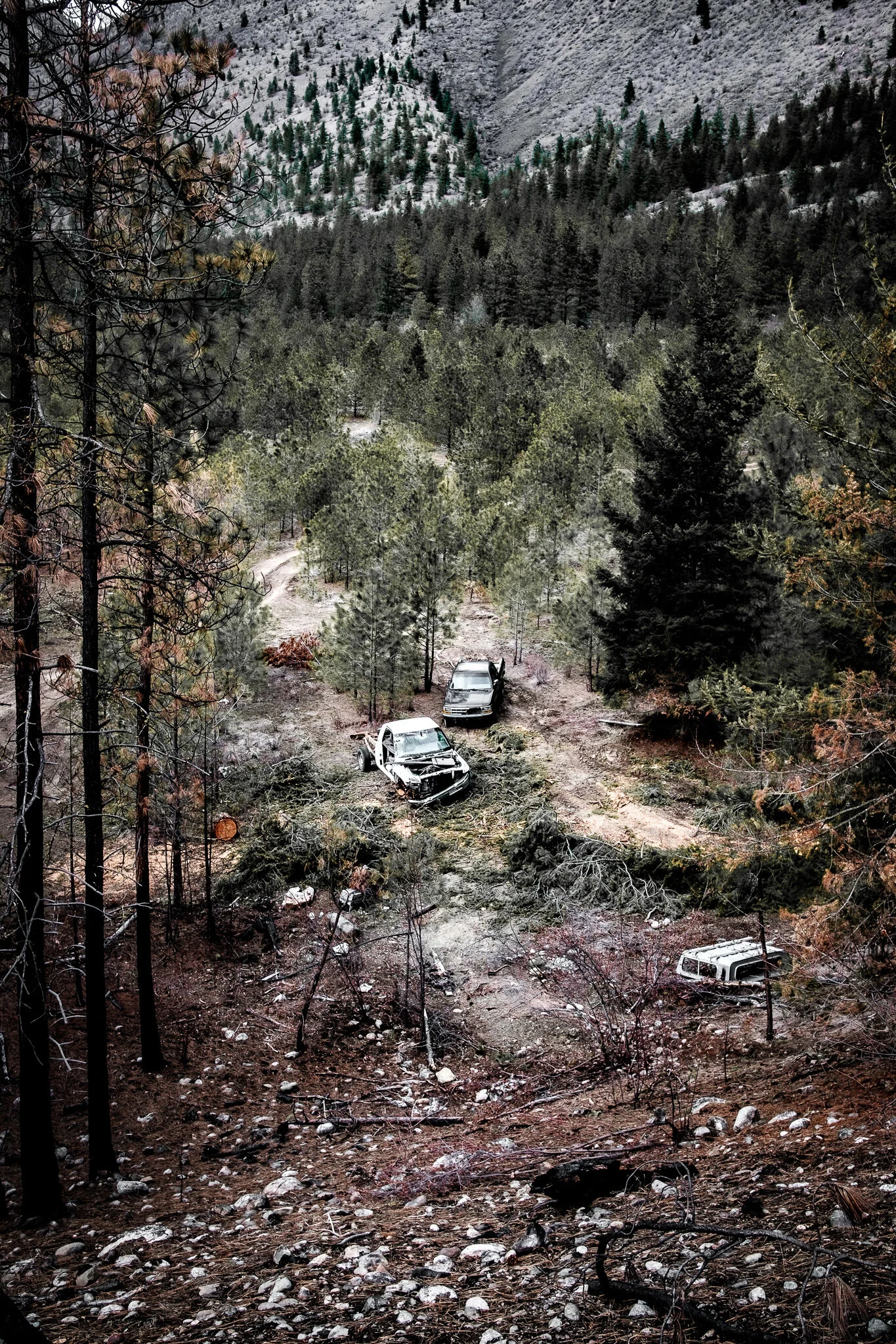 Abandoned cars in the Canadian wilderness