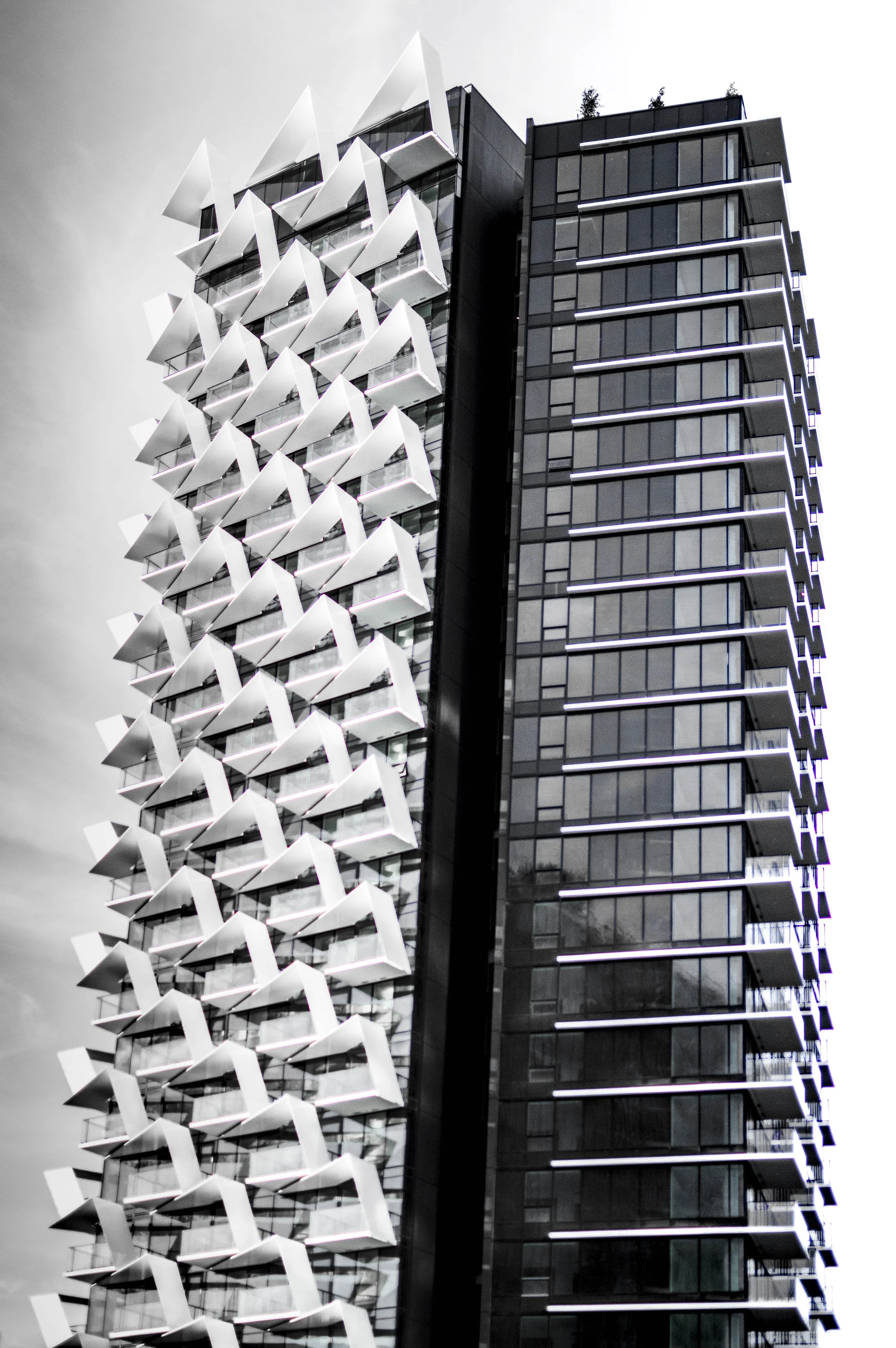 The Cardero-Henriquez Partners-05.jpg