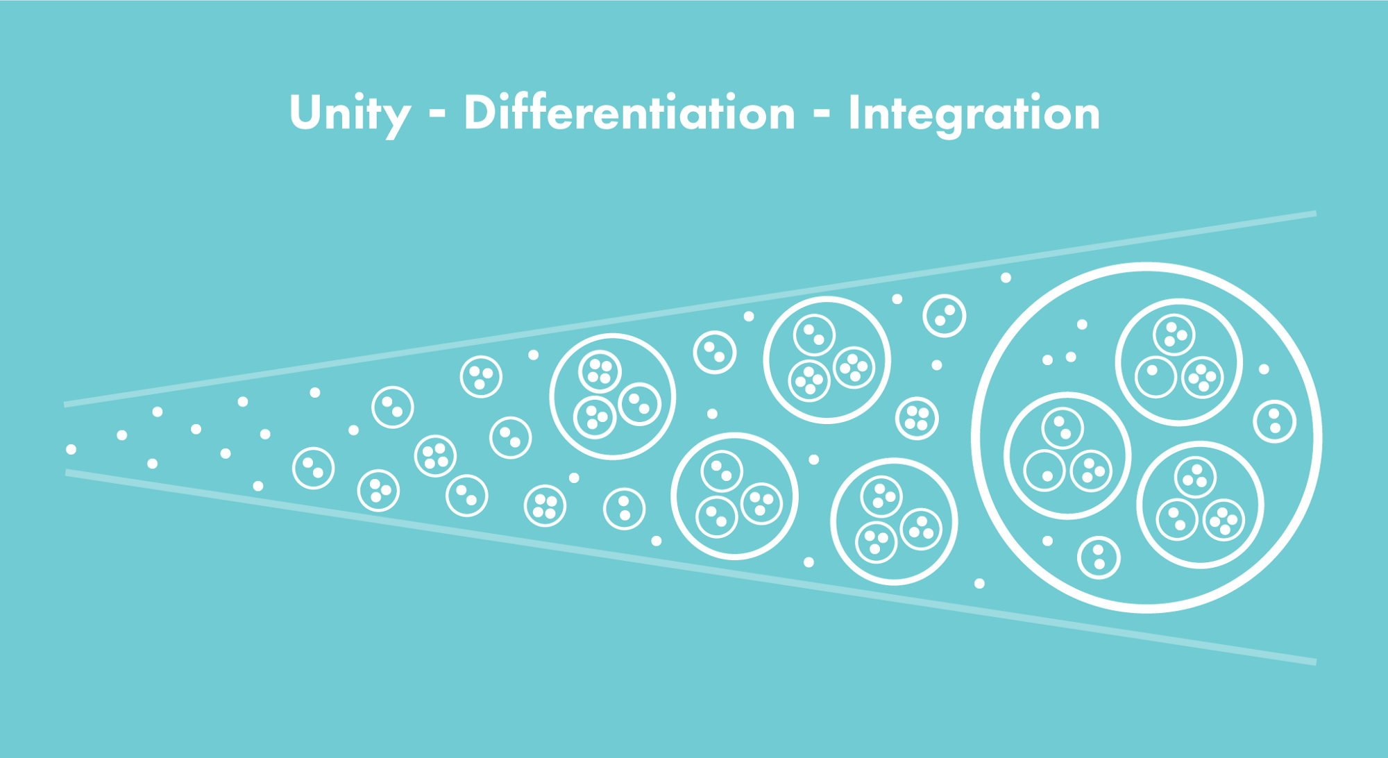 PROCESSAn evolutionary perspective on life’s inherent intelligence to organize and innovate.