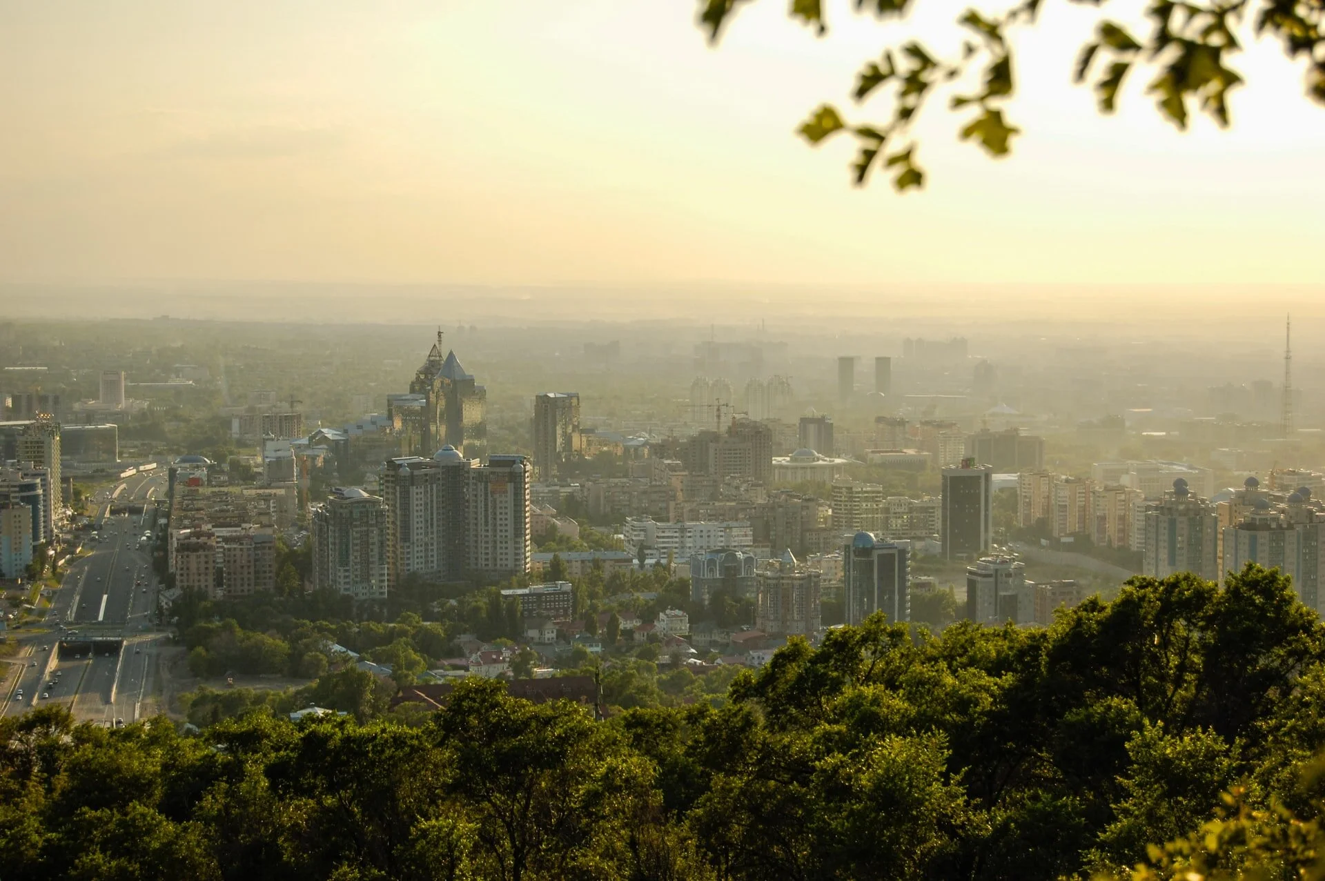City skyline with tall buildings and skyscrapers viewed from a hill or park with green trees in the foreground, under a hazy, golden sky.