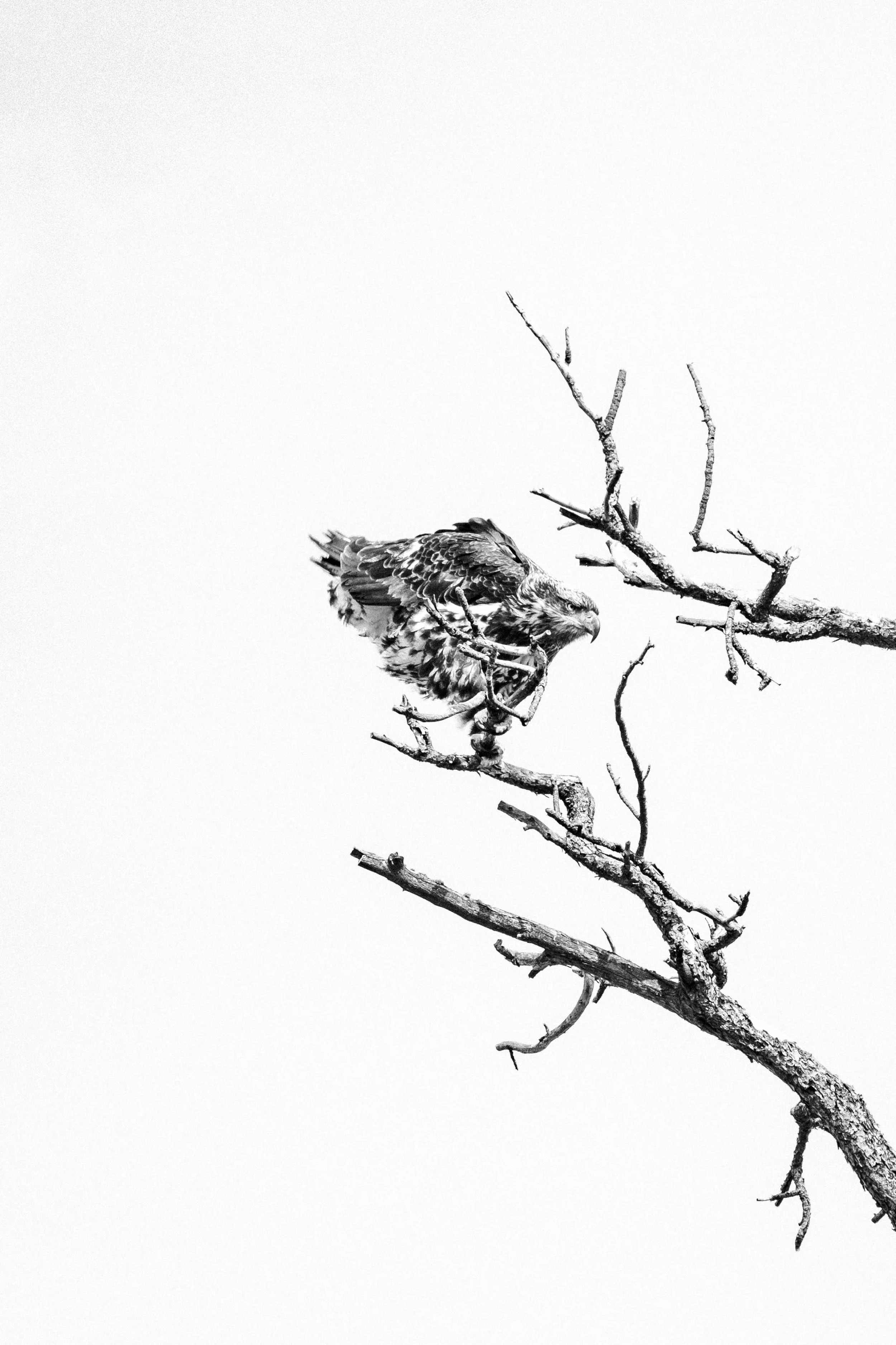 A Breeze in Your Grind