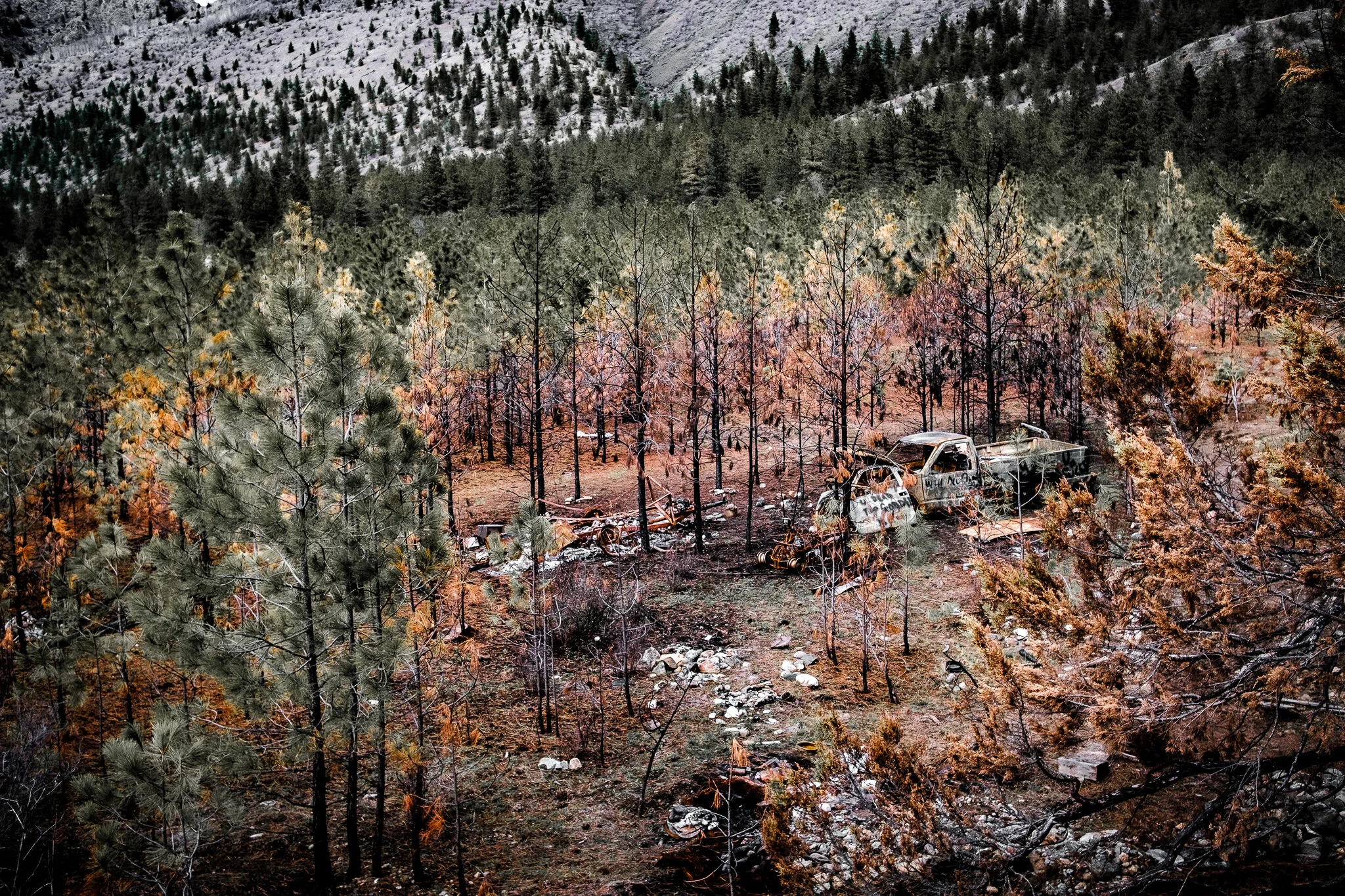 Abandoned truck in the Canadian wilderness