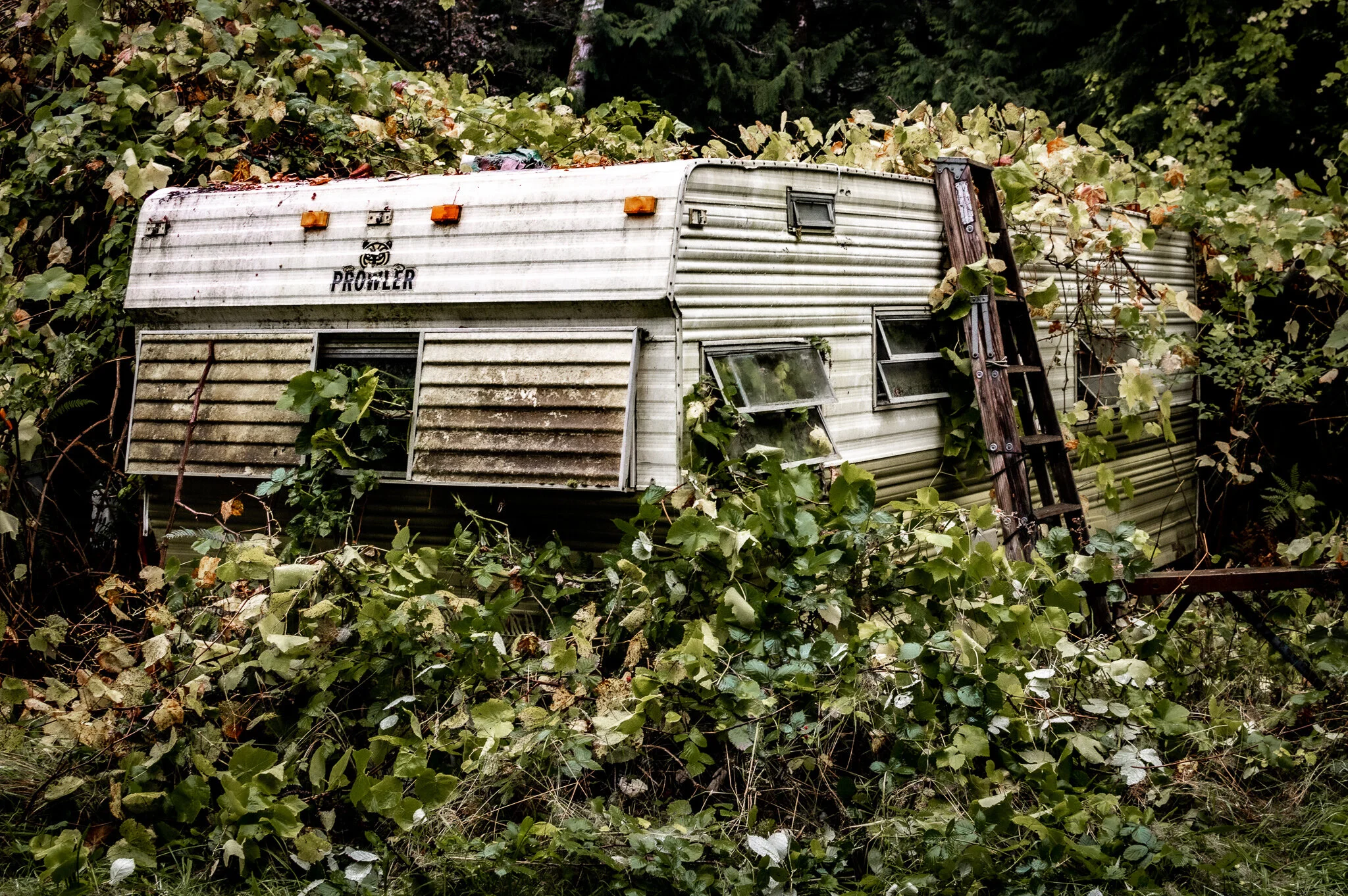 Abandoned mobilhome in the Canadian wilderness