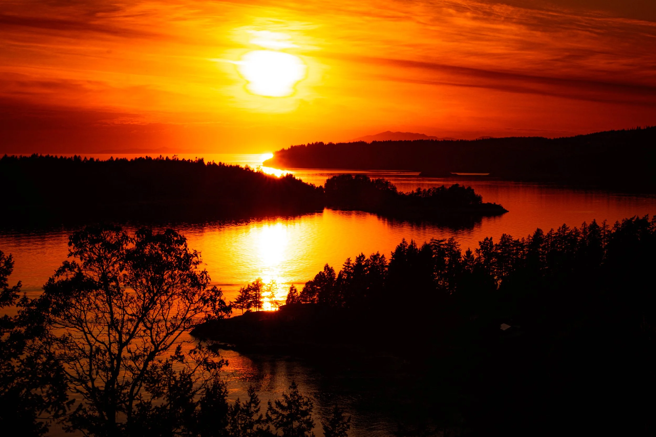 Bowen Island 2021-16.jpg