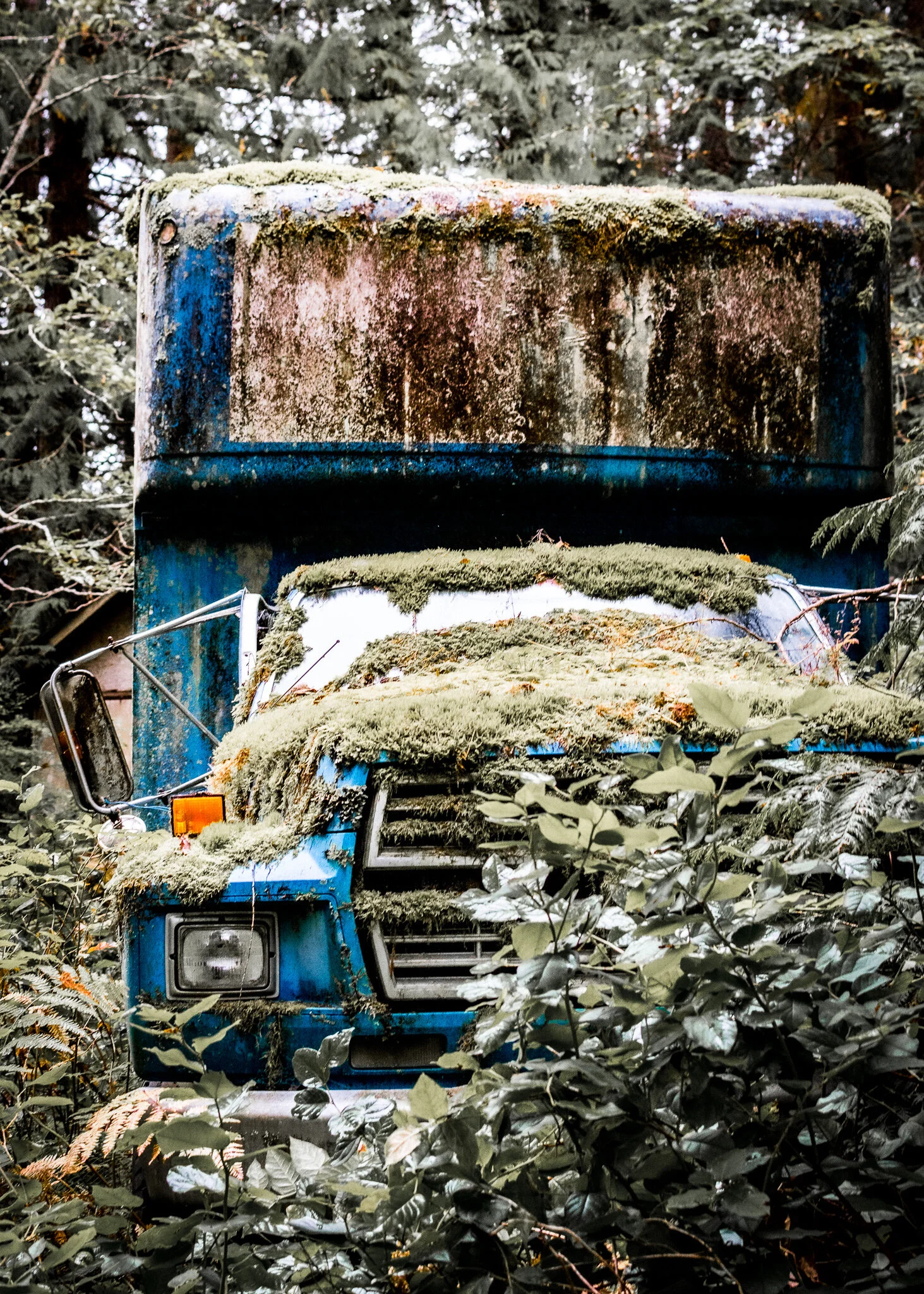 Abandoned blue truck in the Canadian wilderness