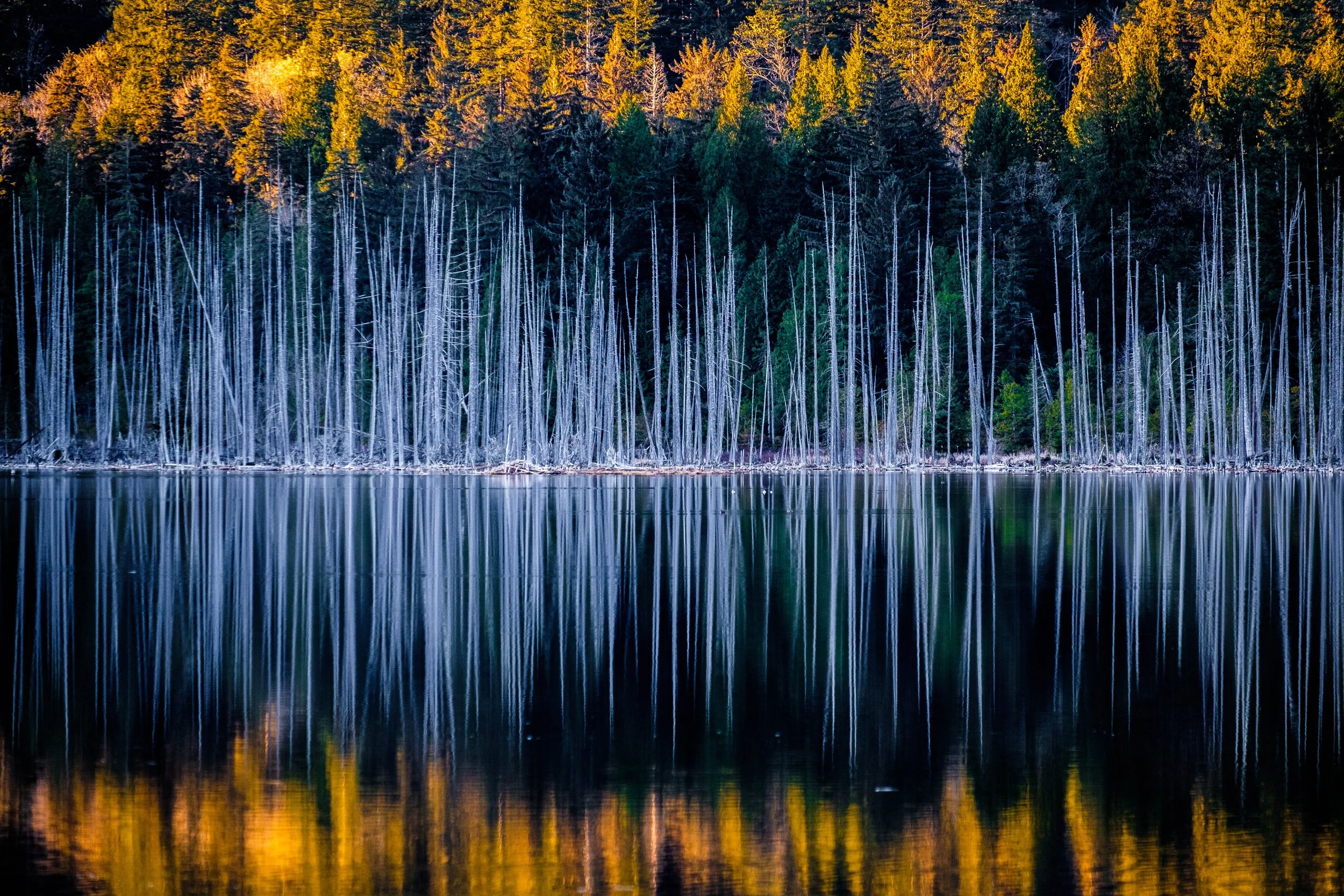 Bowen Island 2021-07.jpg