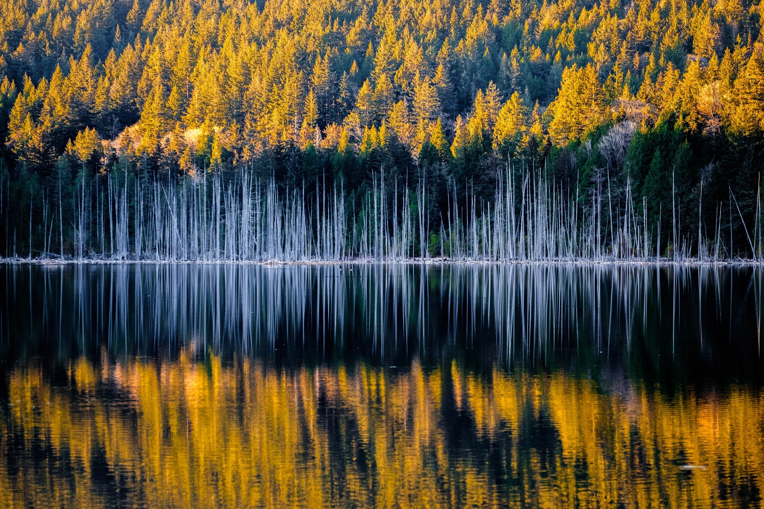 Bowen Island 2021-06.jpg