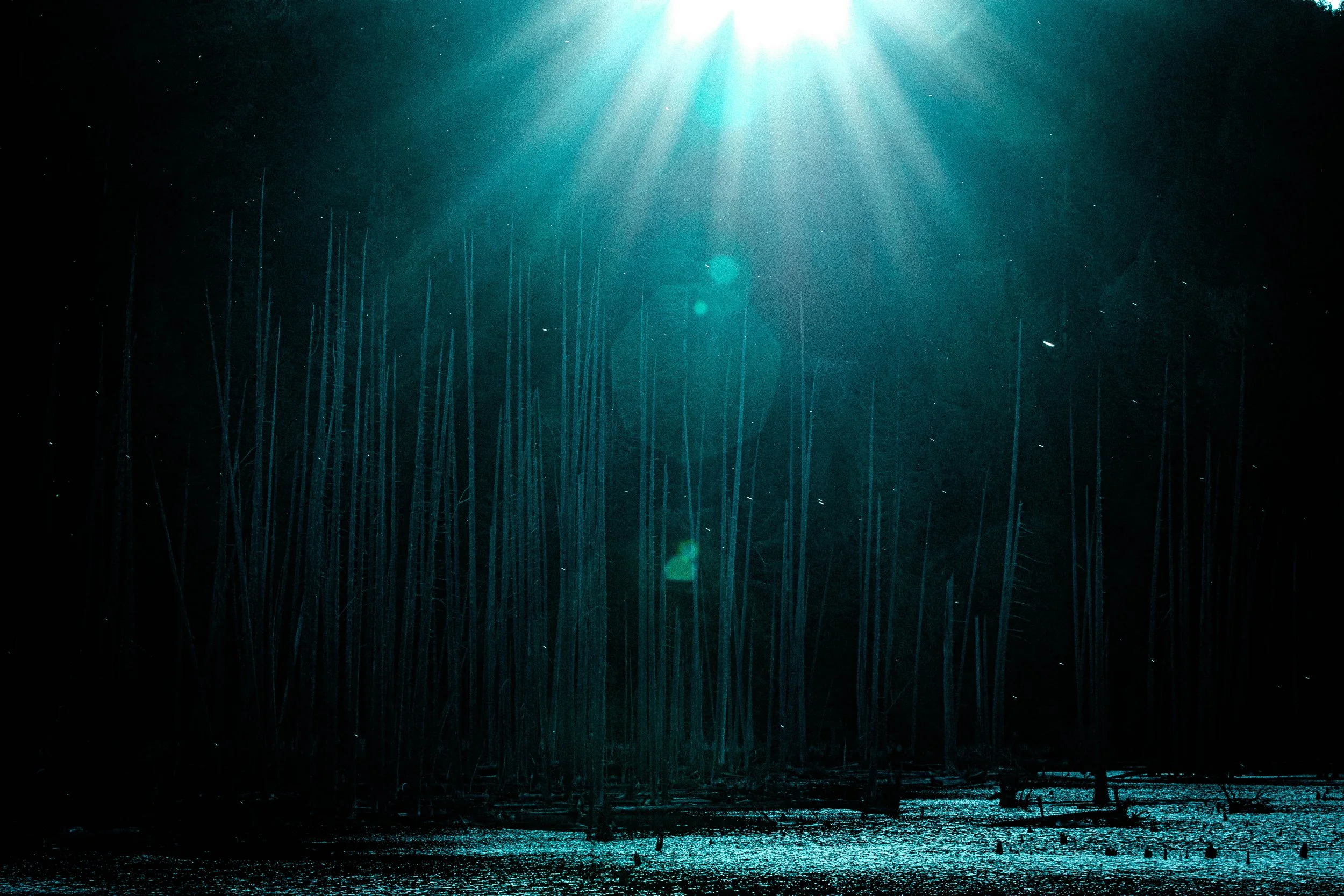 Bowen Island 2021-02.jpg