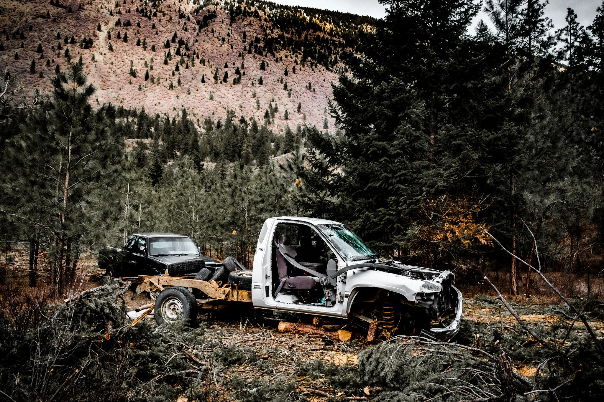Abandoned white truck in the Canadian wilderness