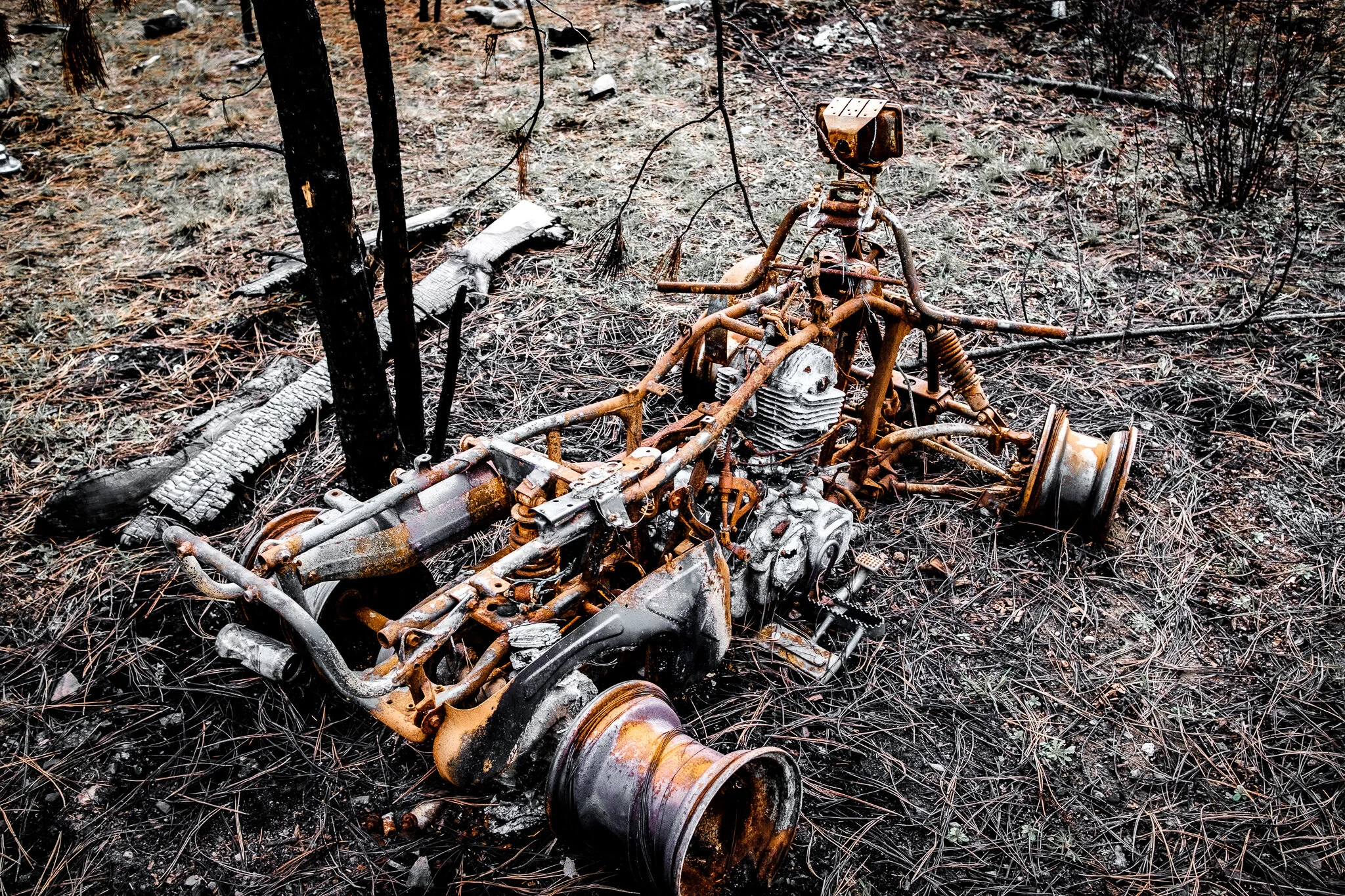 Abandoned and burned down car skeleton in the Canadian wilderness