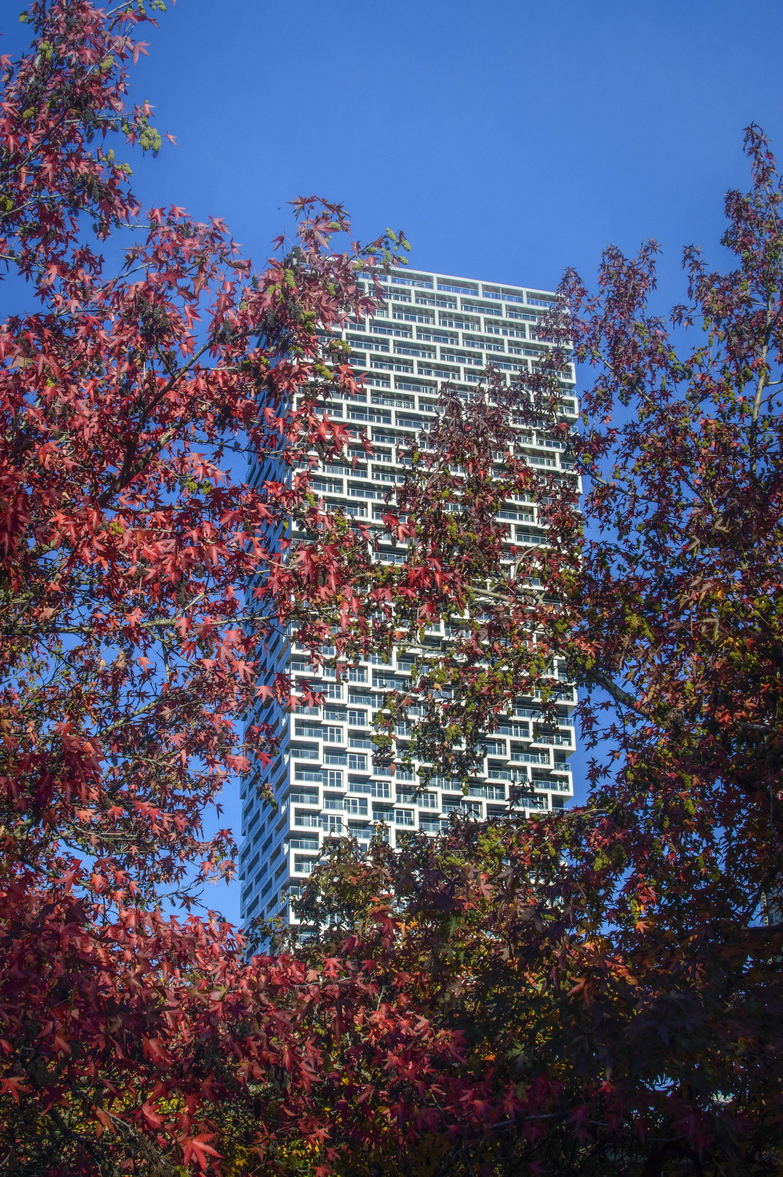 Vancouver House-BIG architects-13.jpg