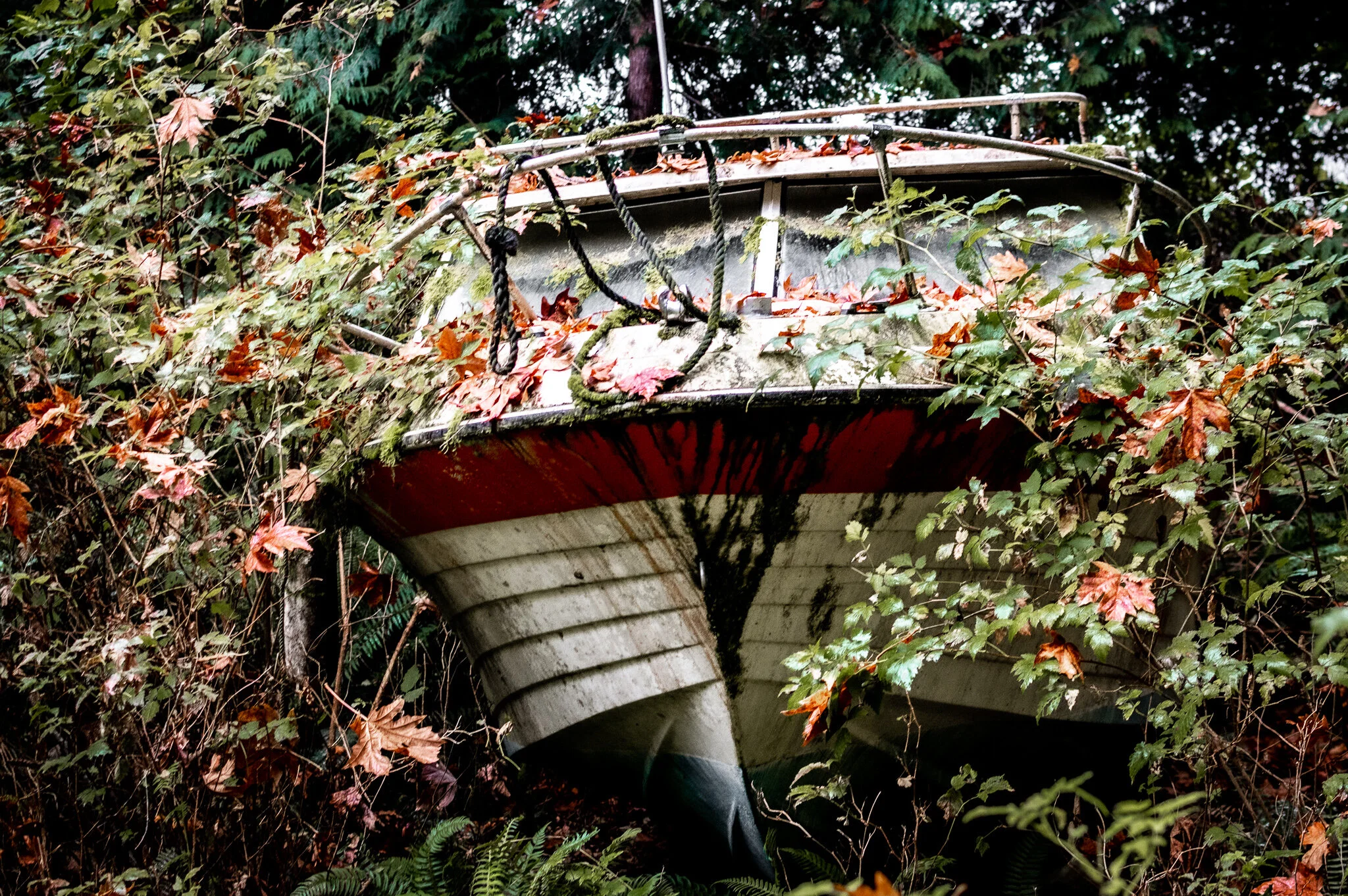 Abandoned boat in the Canadian wilderness