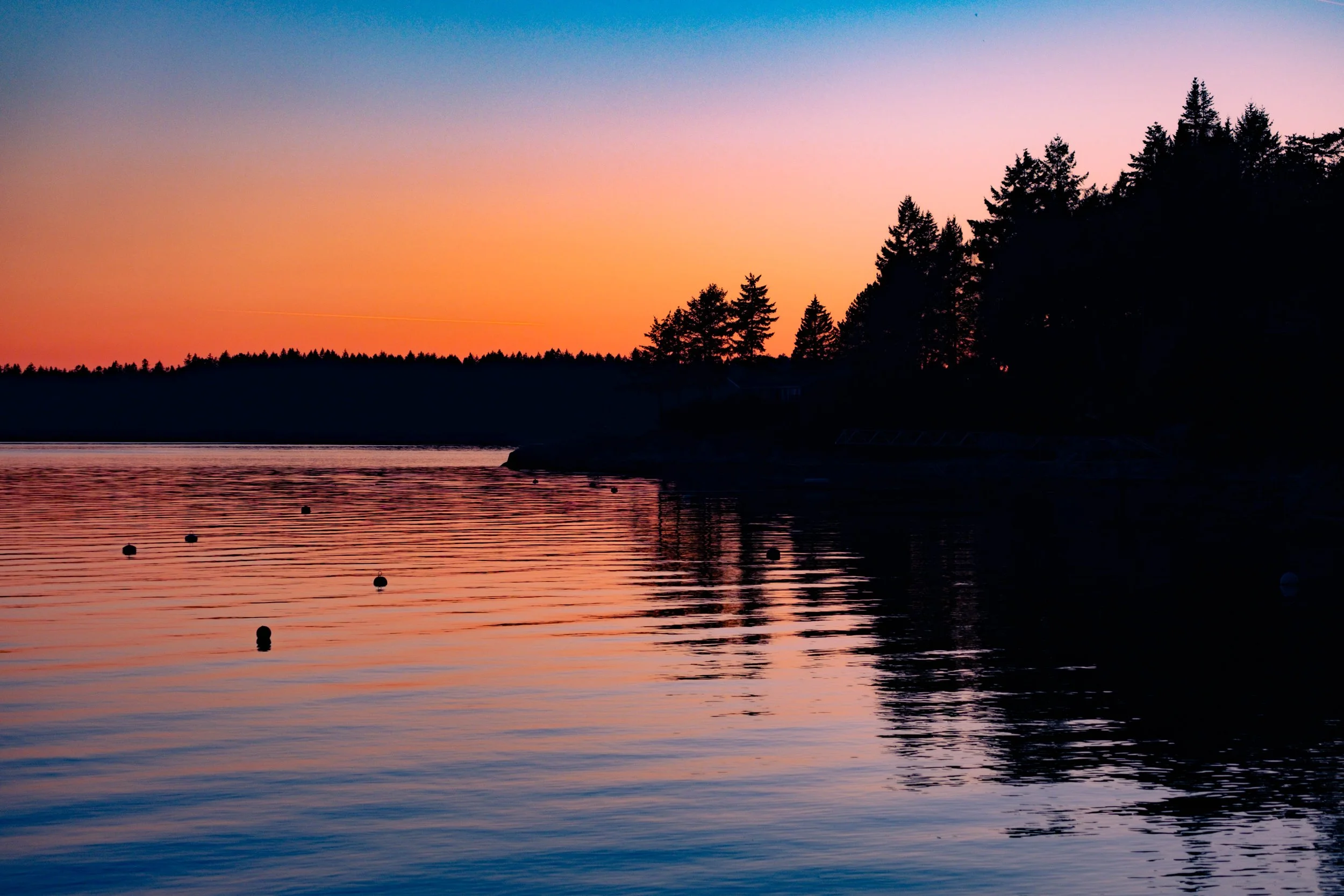 Bowen Island 2021-12.jpg