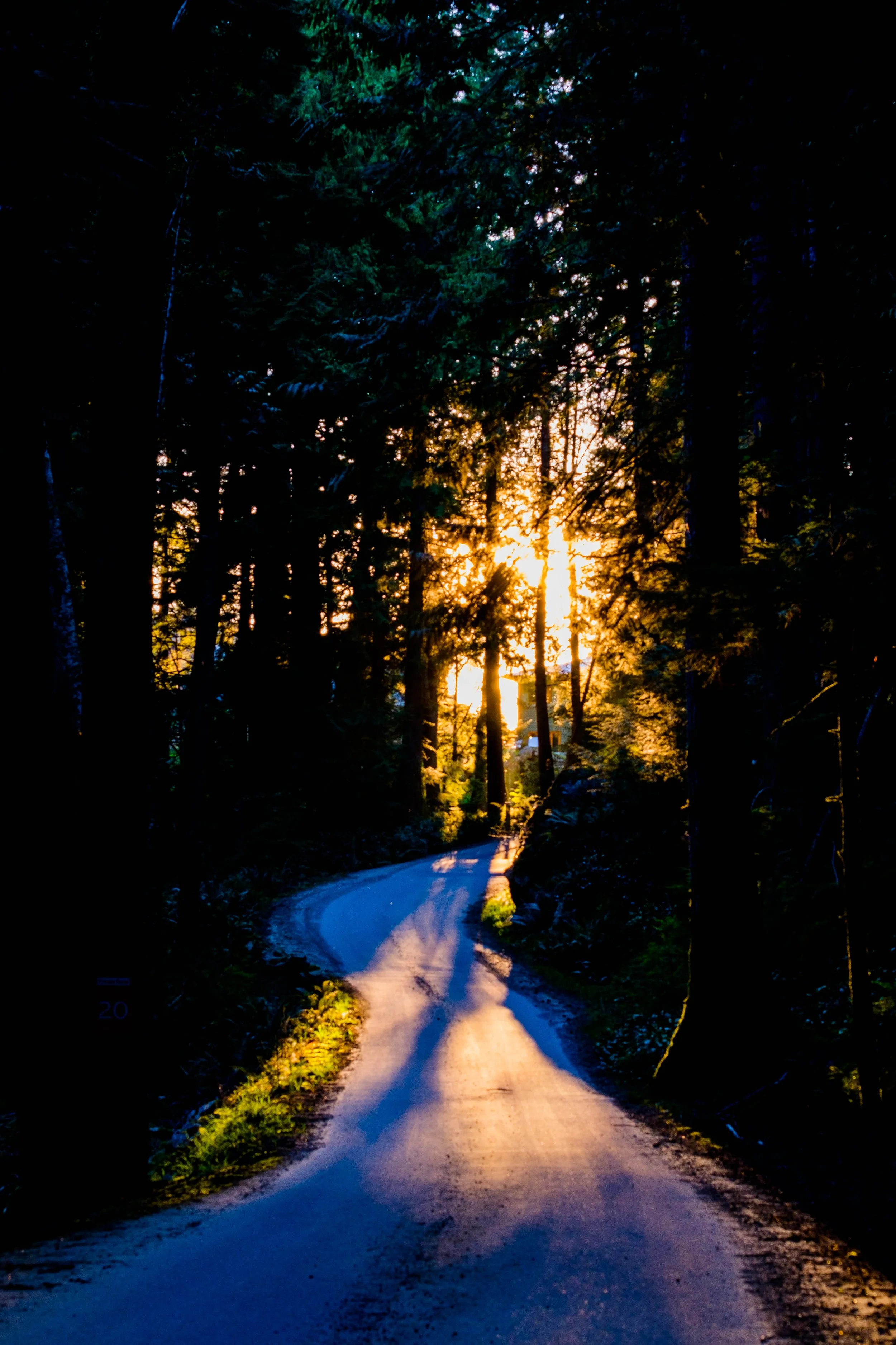 Bowen Island 2021-14.jpg