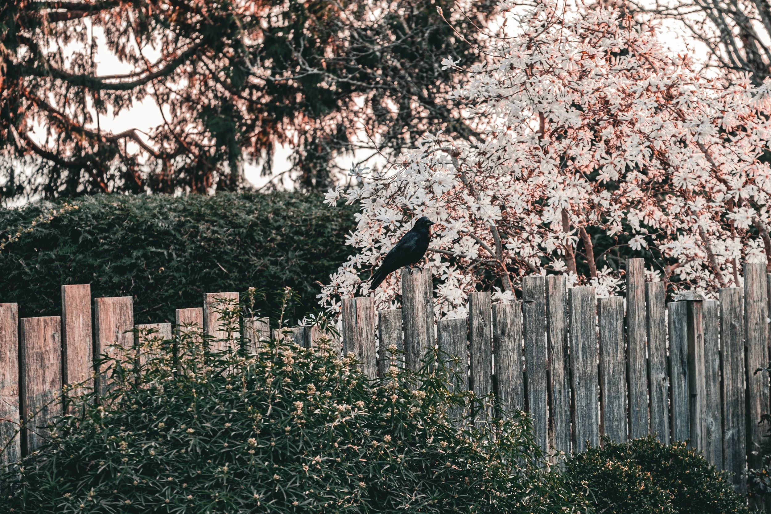 Bowen Island 2021-09.jpg