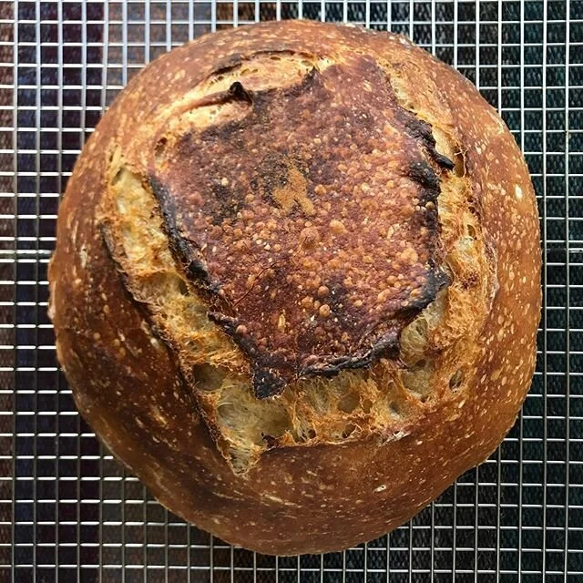 It&rsquo;s a girl!!!! @clarkstreetbread thank you for the starter!