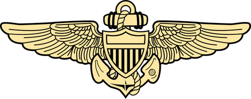 Naval Aviator Insignia logo