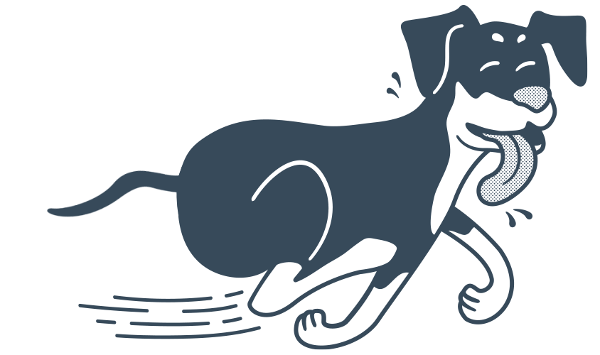 The Dog Wellness Centre see our canine physiotherapist now