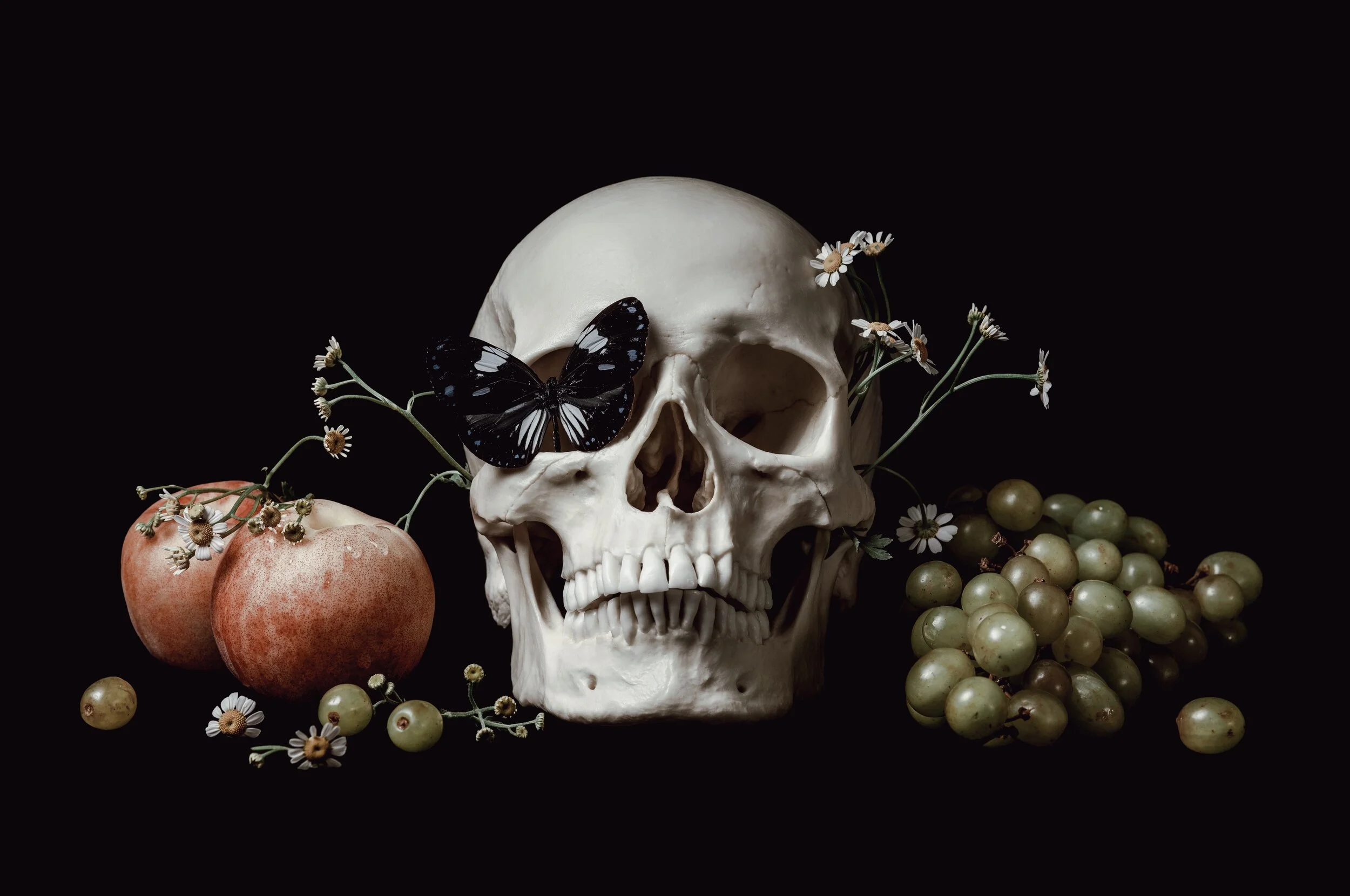 Still life photography and art direction by Louis Rakovich, human skull, memento mori