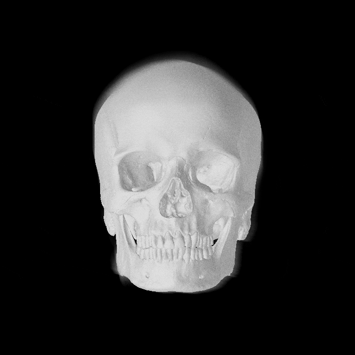 Louis Rakovich - specimen - human skull.gif