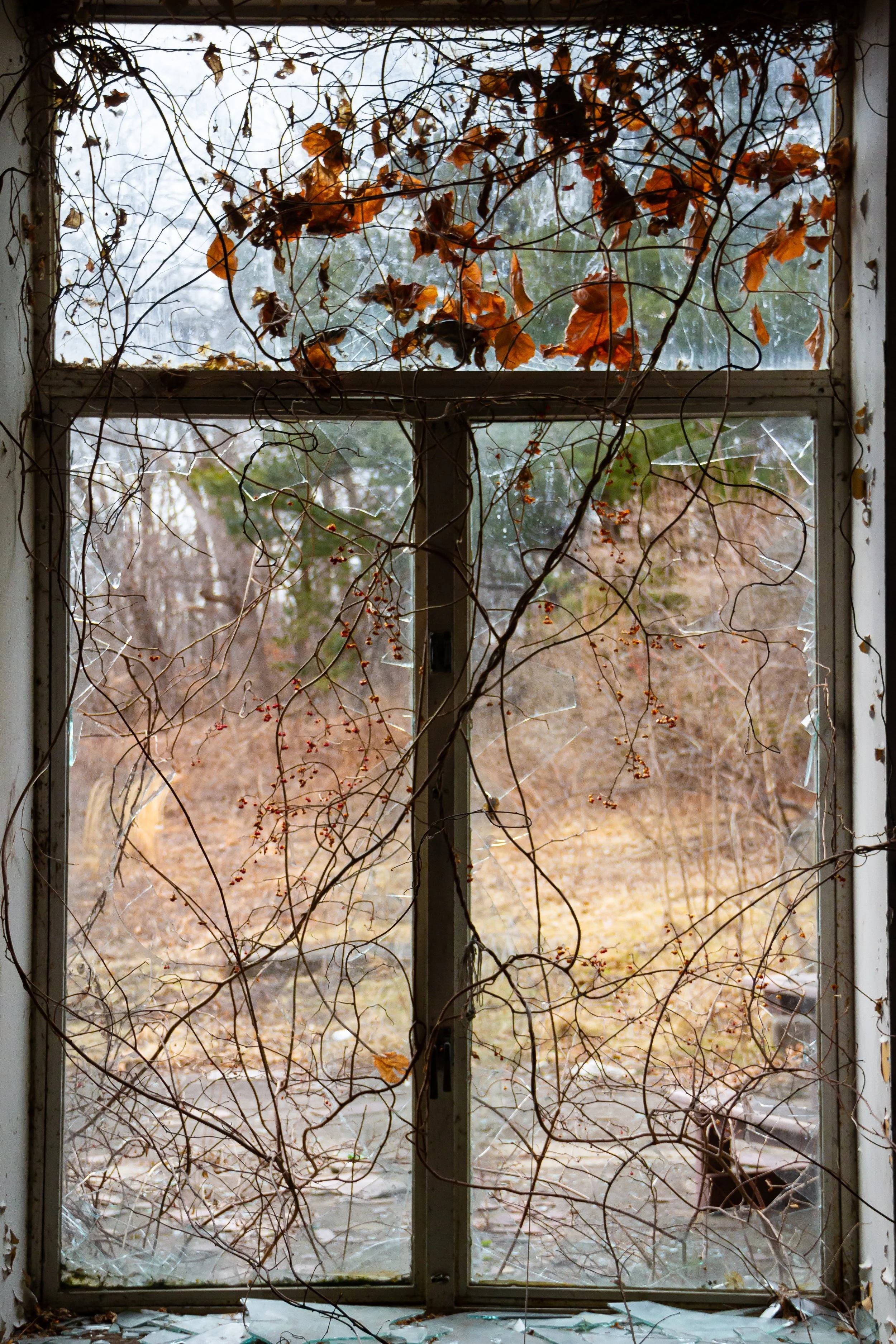 2022-02-17 14.32.09.jpg