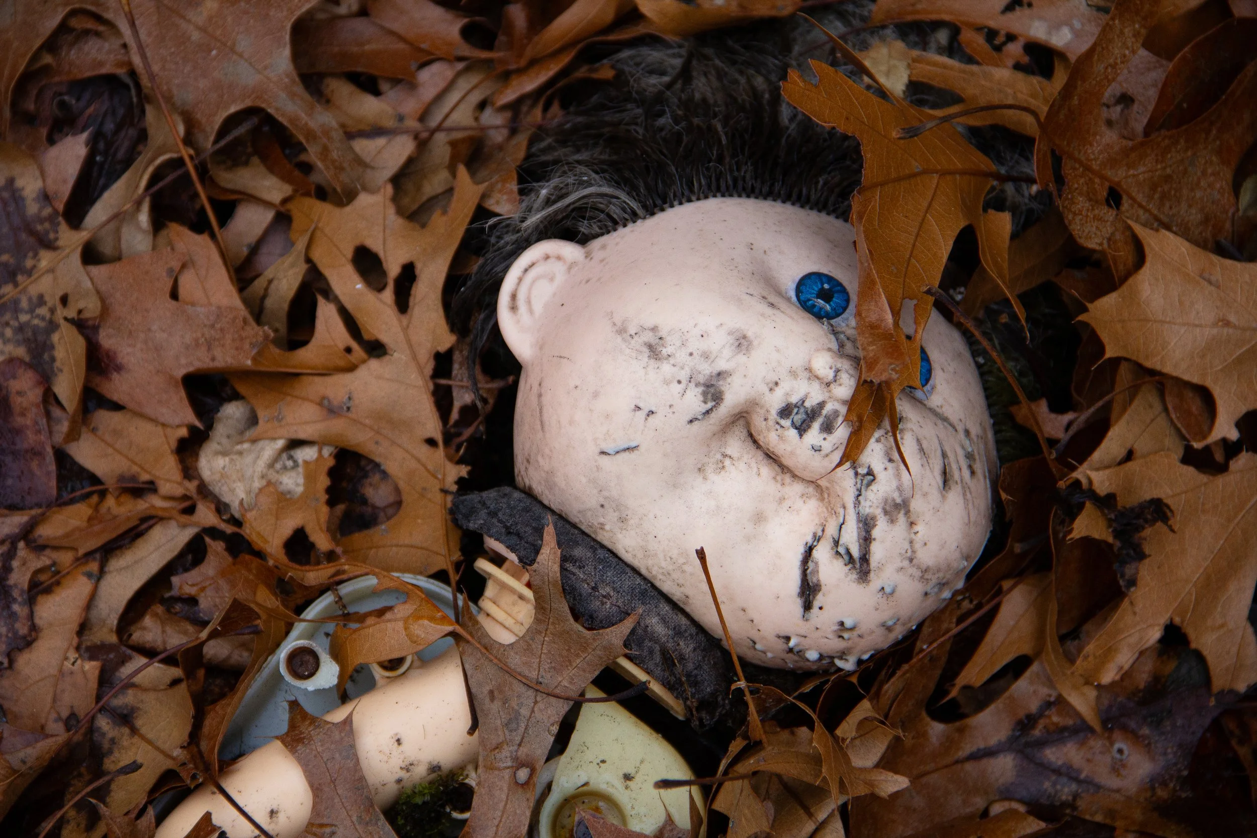 2022-02-17 15.19.51.jpg