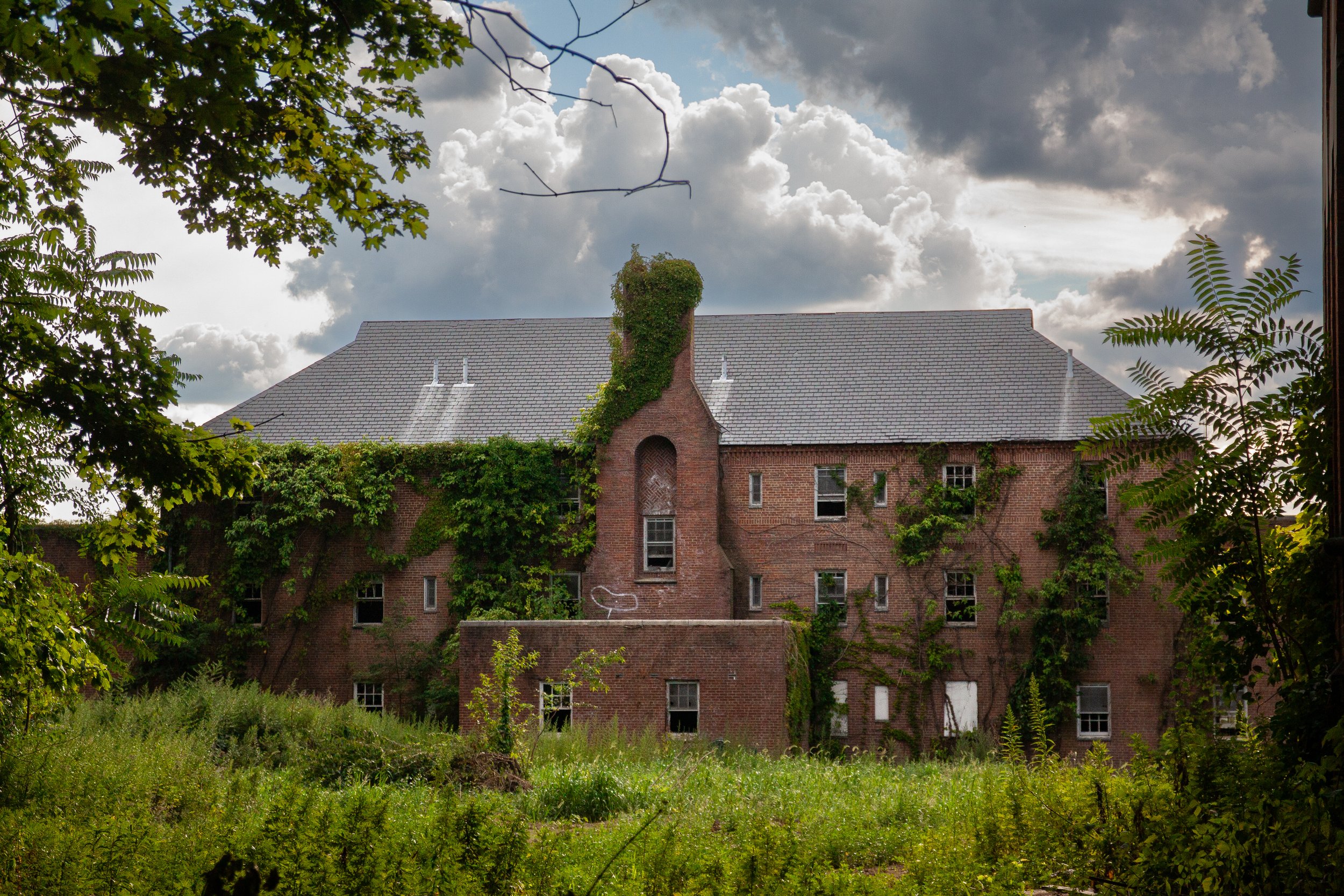 2022-08-06 04.18.35.jpg