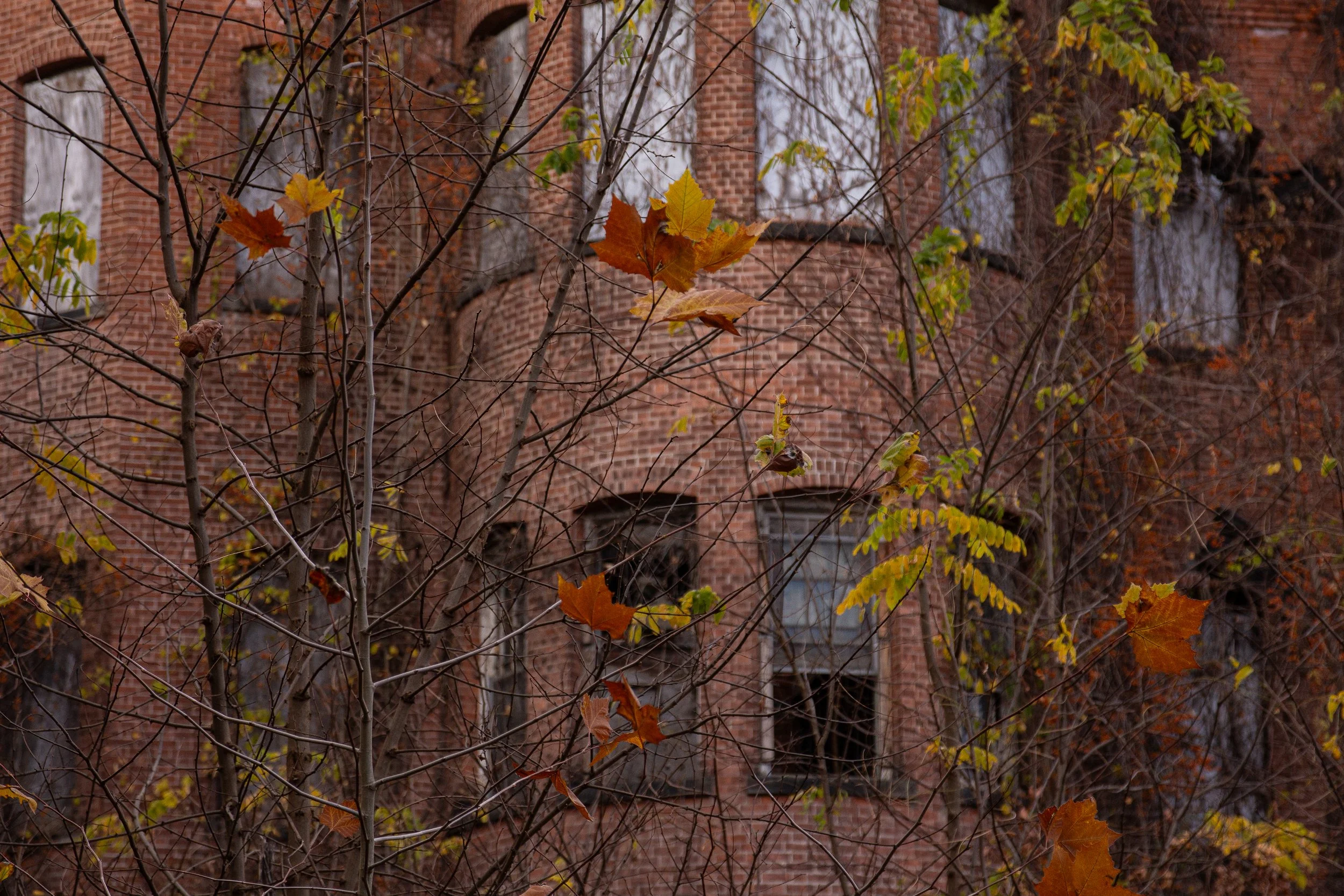 IMG_6928.jpg