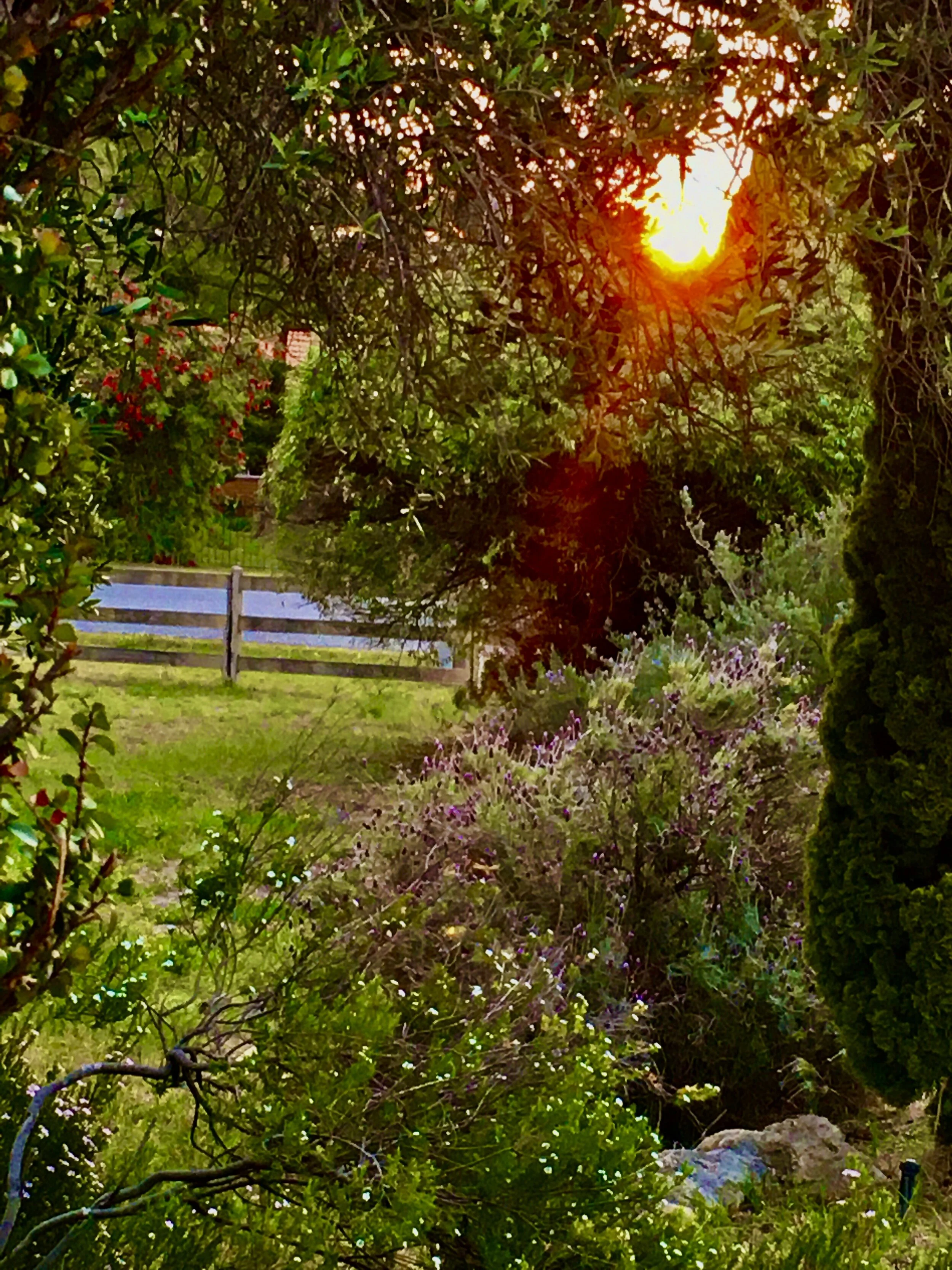 We can’t solve the climate crisis without people of colour.