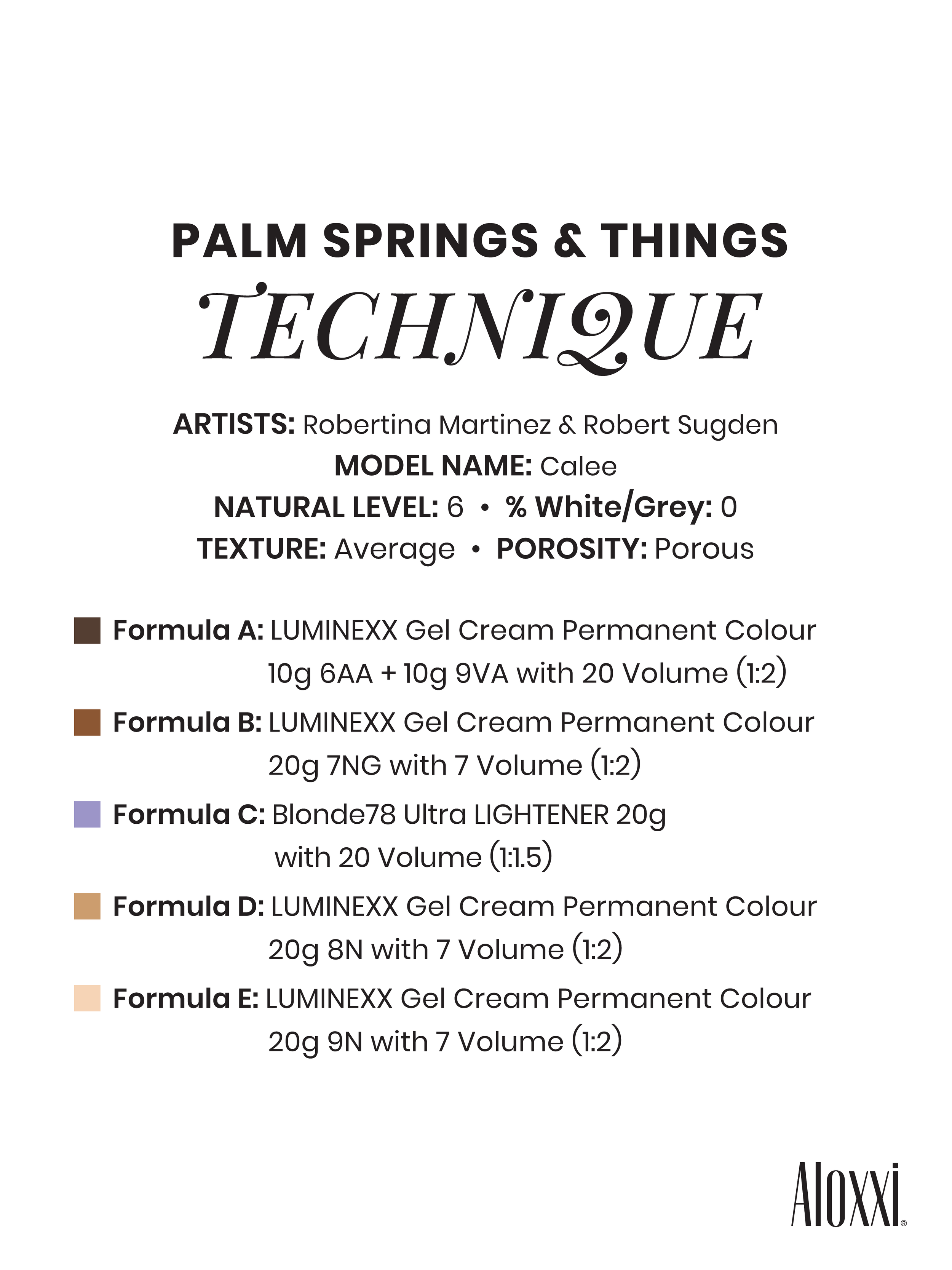 PALM-SPRINGS-AND-THINGS_ALOXXI-COACHELLA-COLLECTION_Artboard 5.png