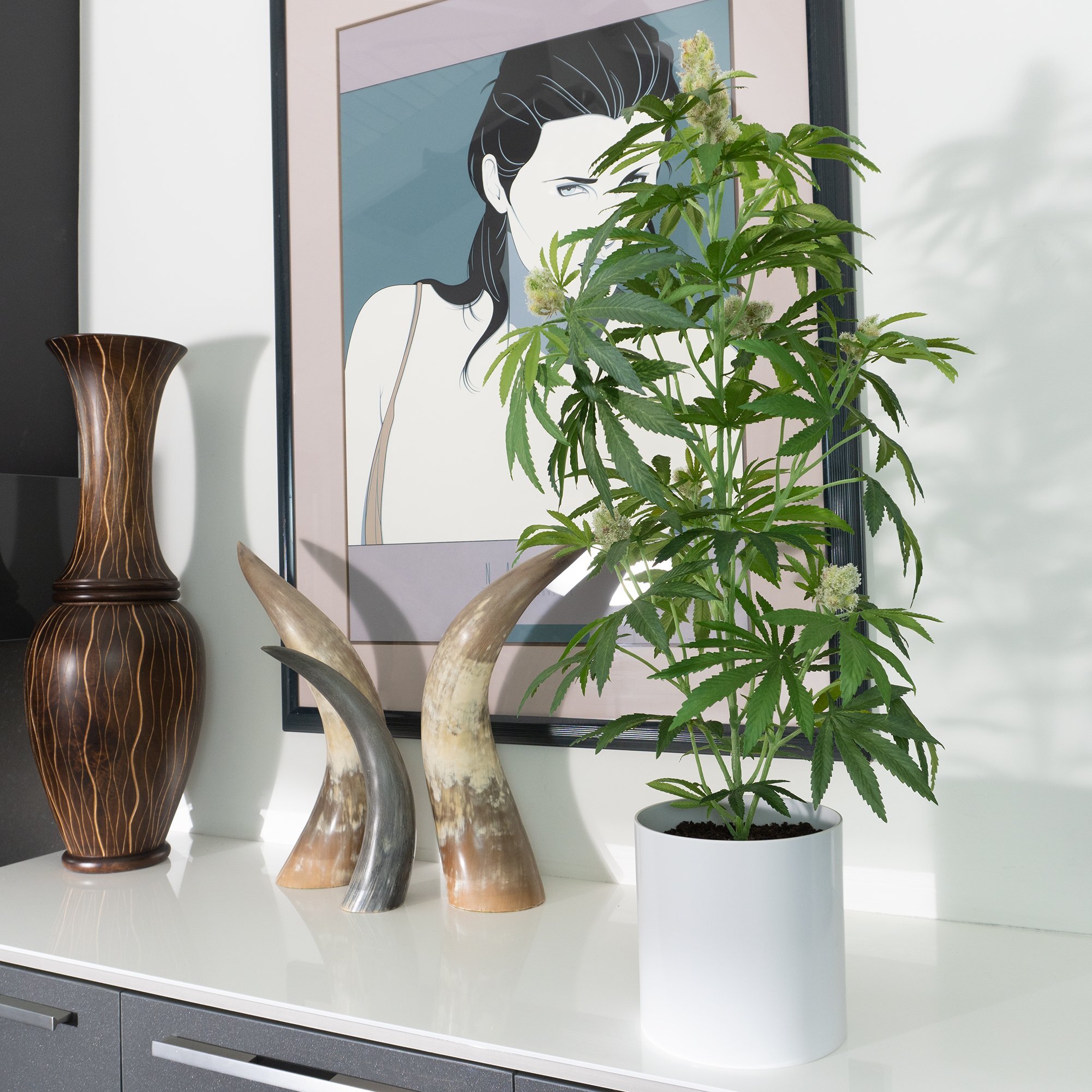 POT PLANT - 36 inch faux "Mother" indoor plant, potted in white cylinder container. Faux-realistic-cannabis plant.