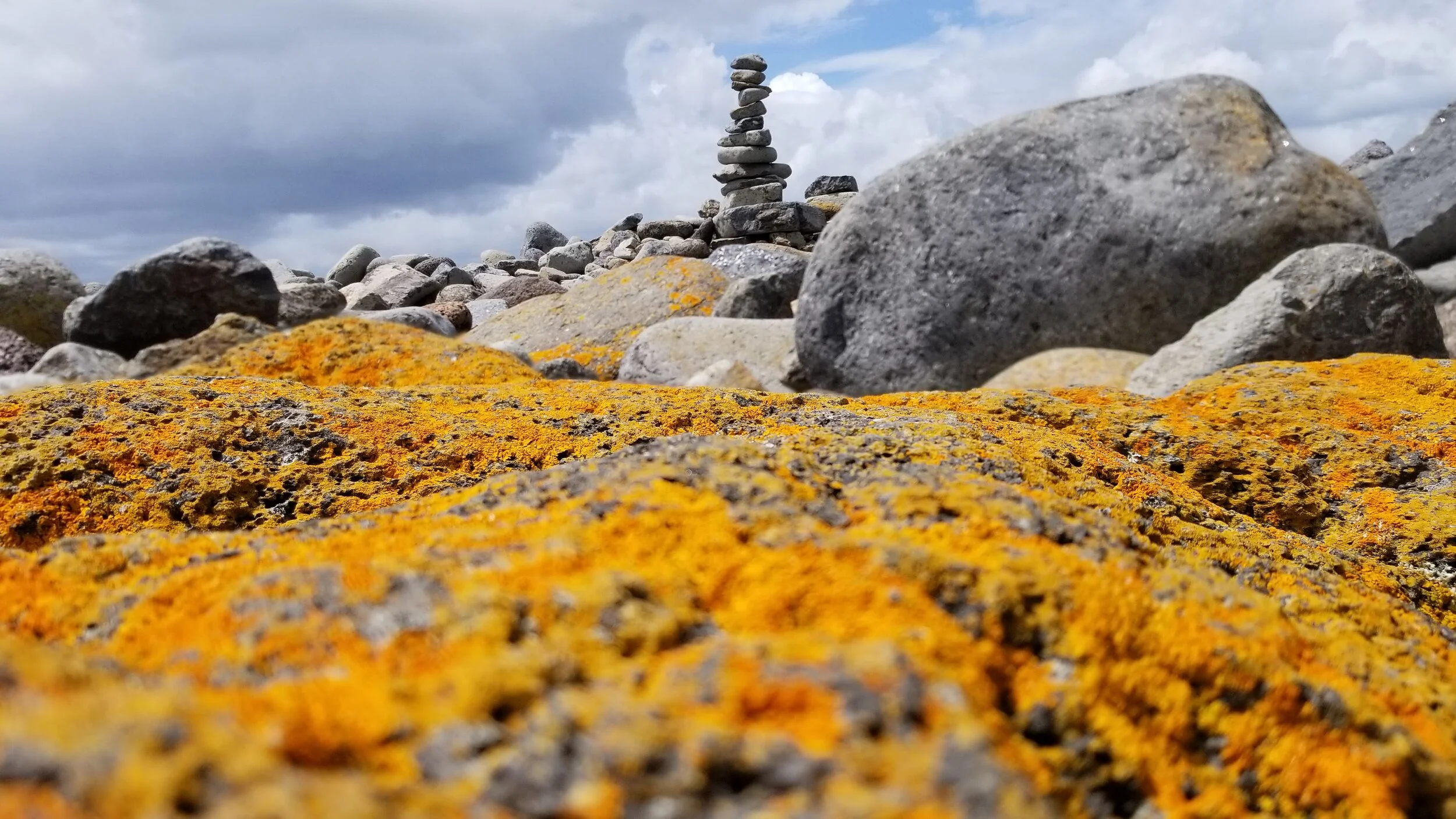 Year one, consultant life