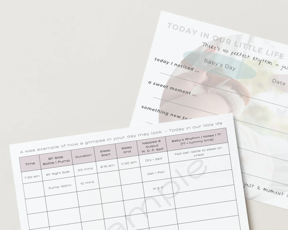 Screen Shot 2026-02-18 at 4.52.43 PM.png