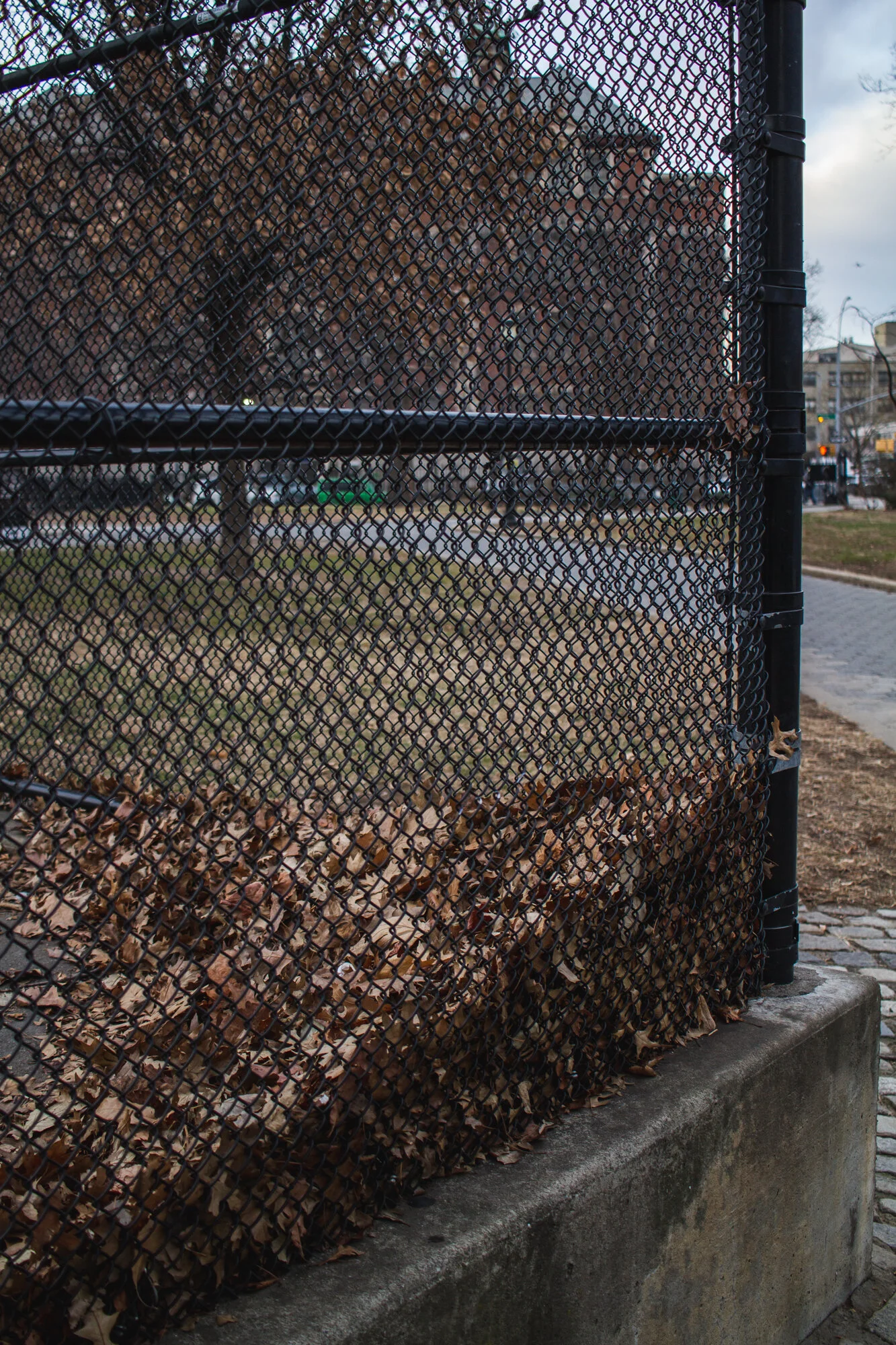 photo walk bushwick jan 11 2021 - web -2.jpg