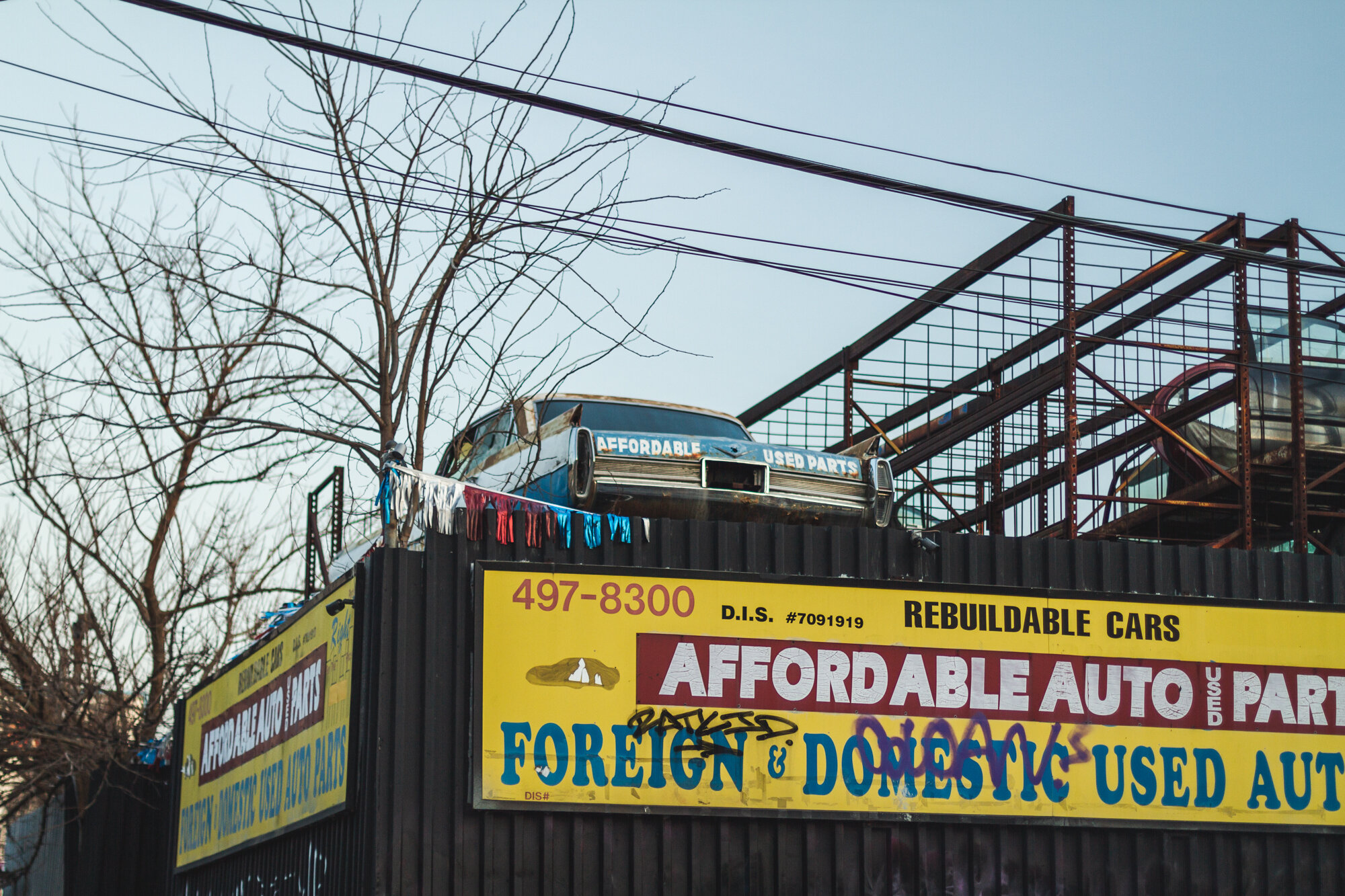 photo walk bushwick march 11 2021 - web -8.jpg