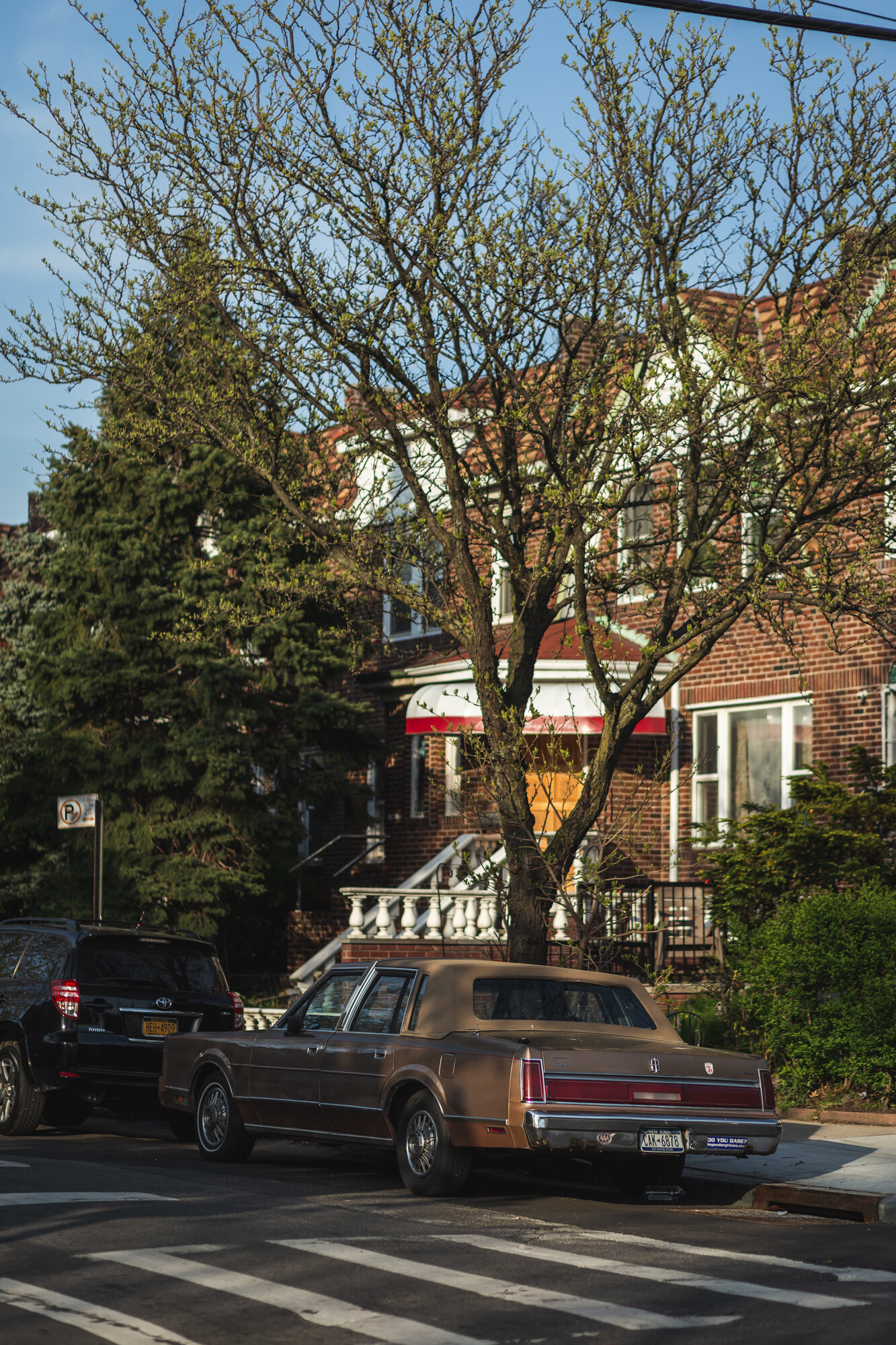 photo walk bushwick ridgewood may 4 2021 - web -6.jpg