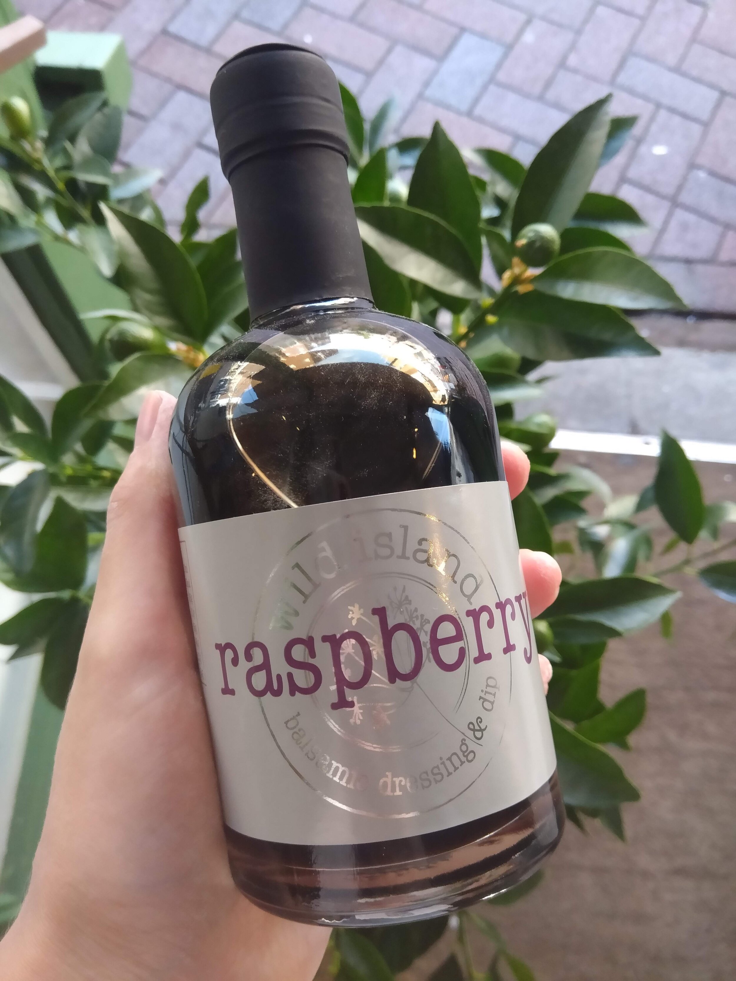 Raspberry Balsamic Dressing and Dip
