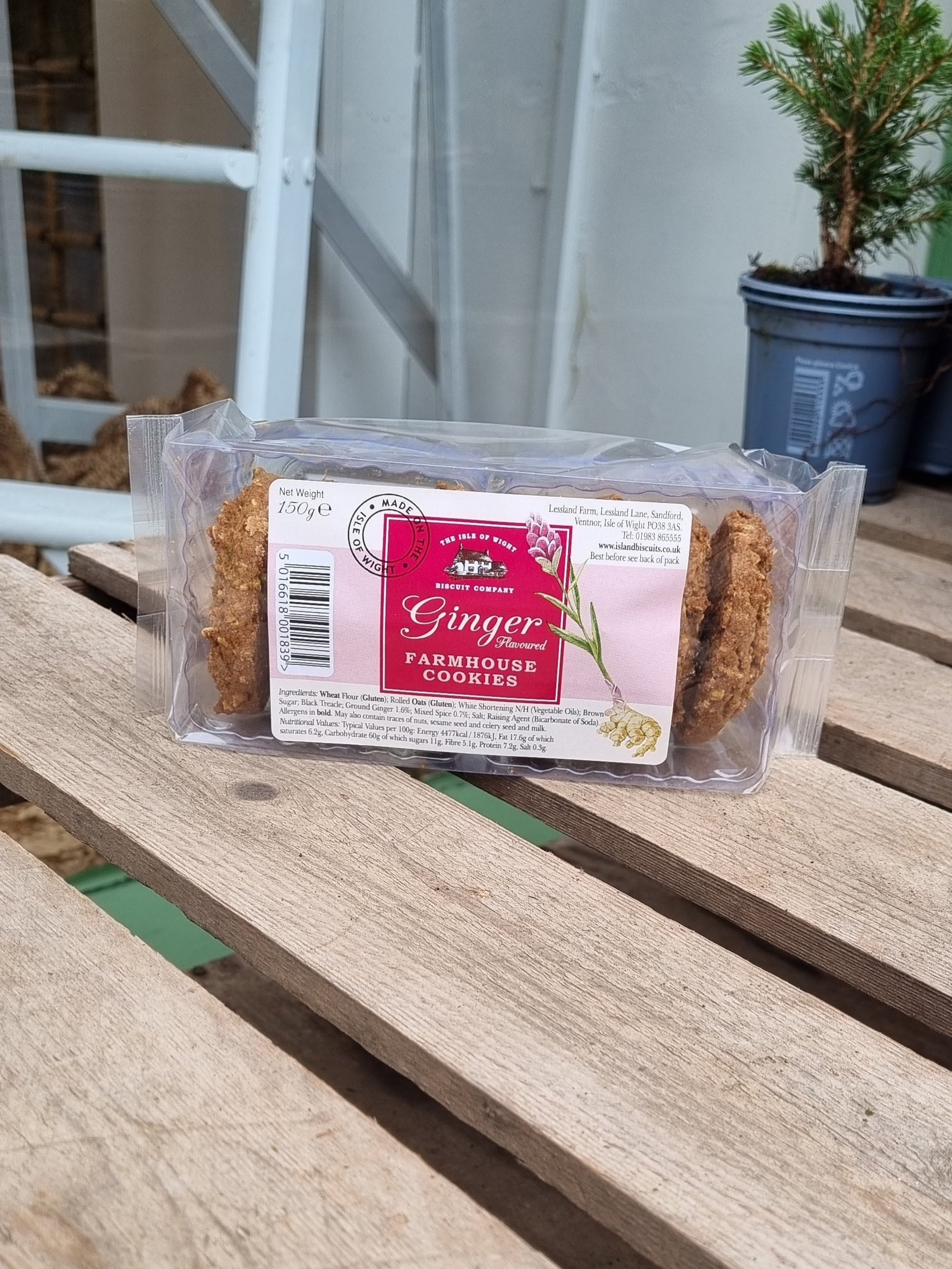 Ginger Farmhouse Biscuits