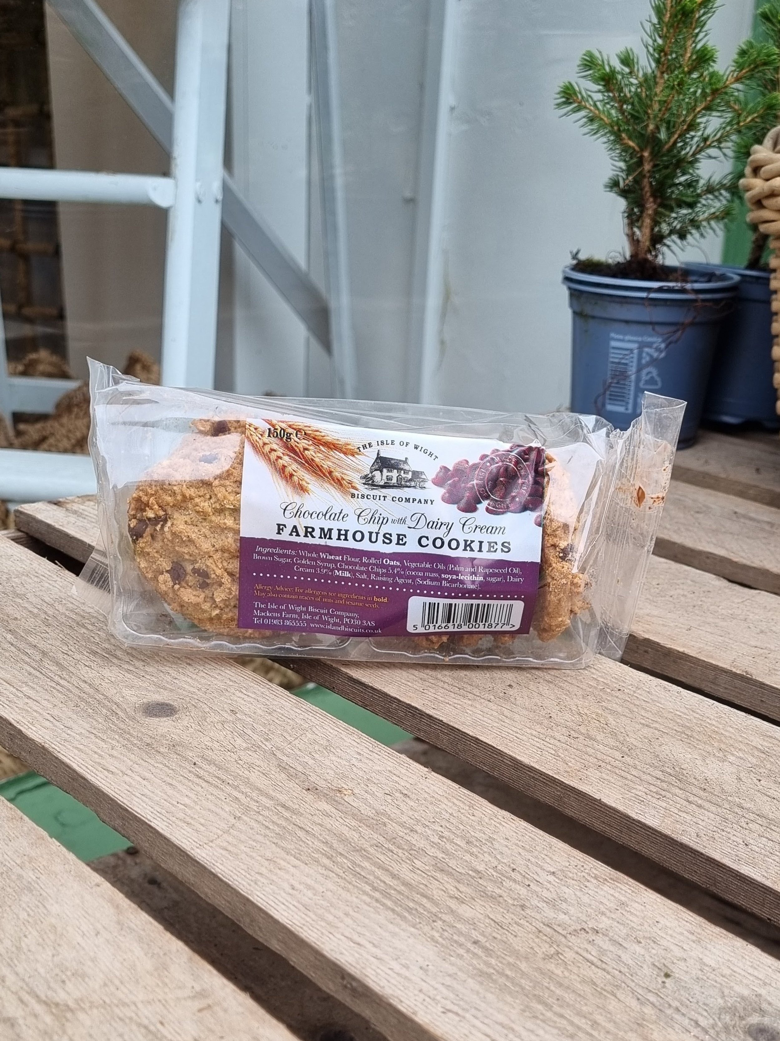 Choc-Chip Farmhouse Biscuits