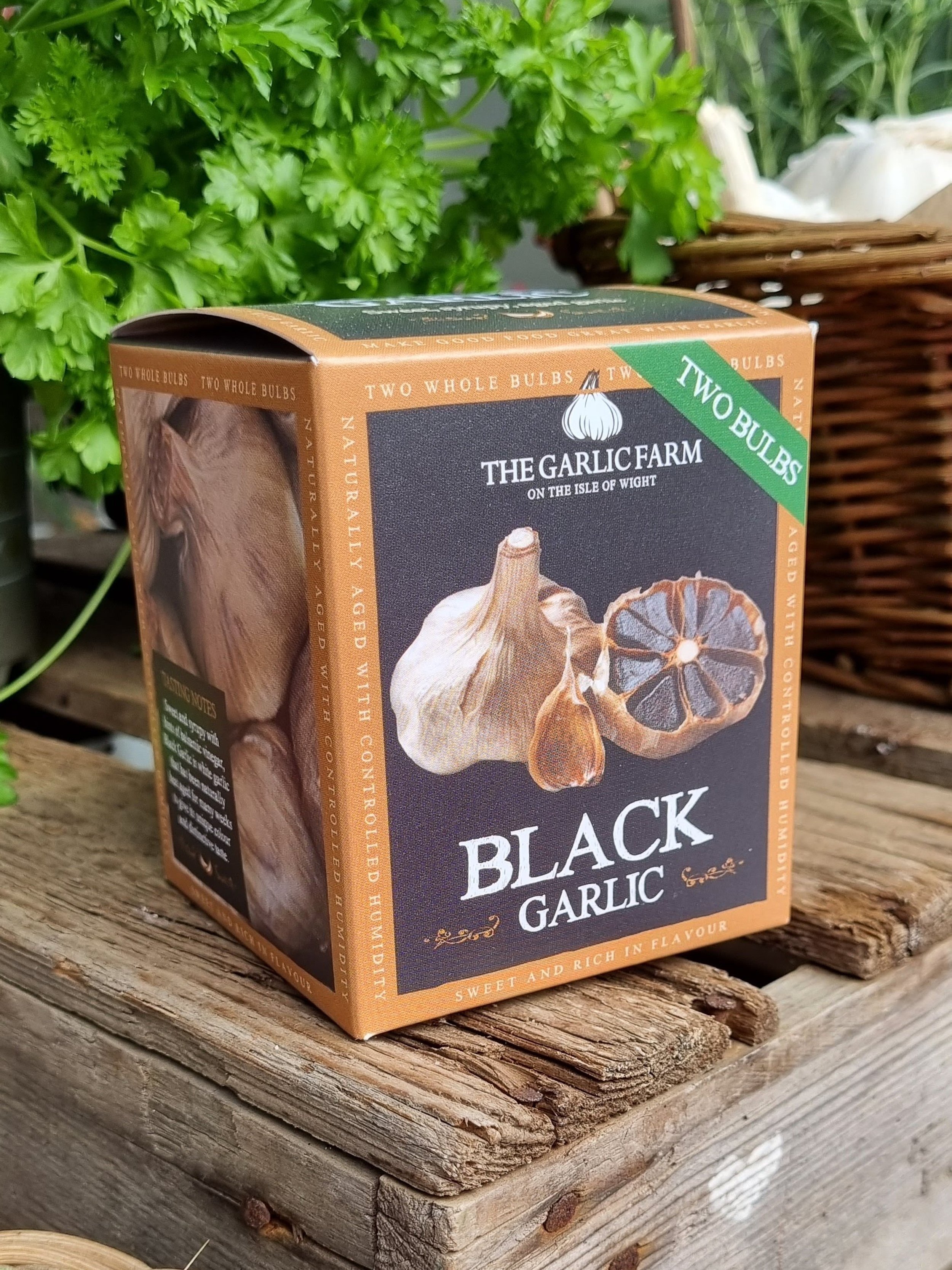 Black Garlic 2 Bulb Tub