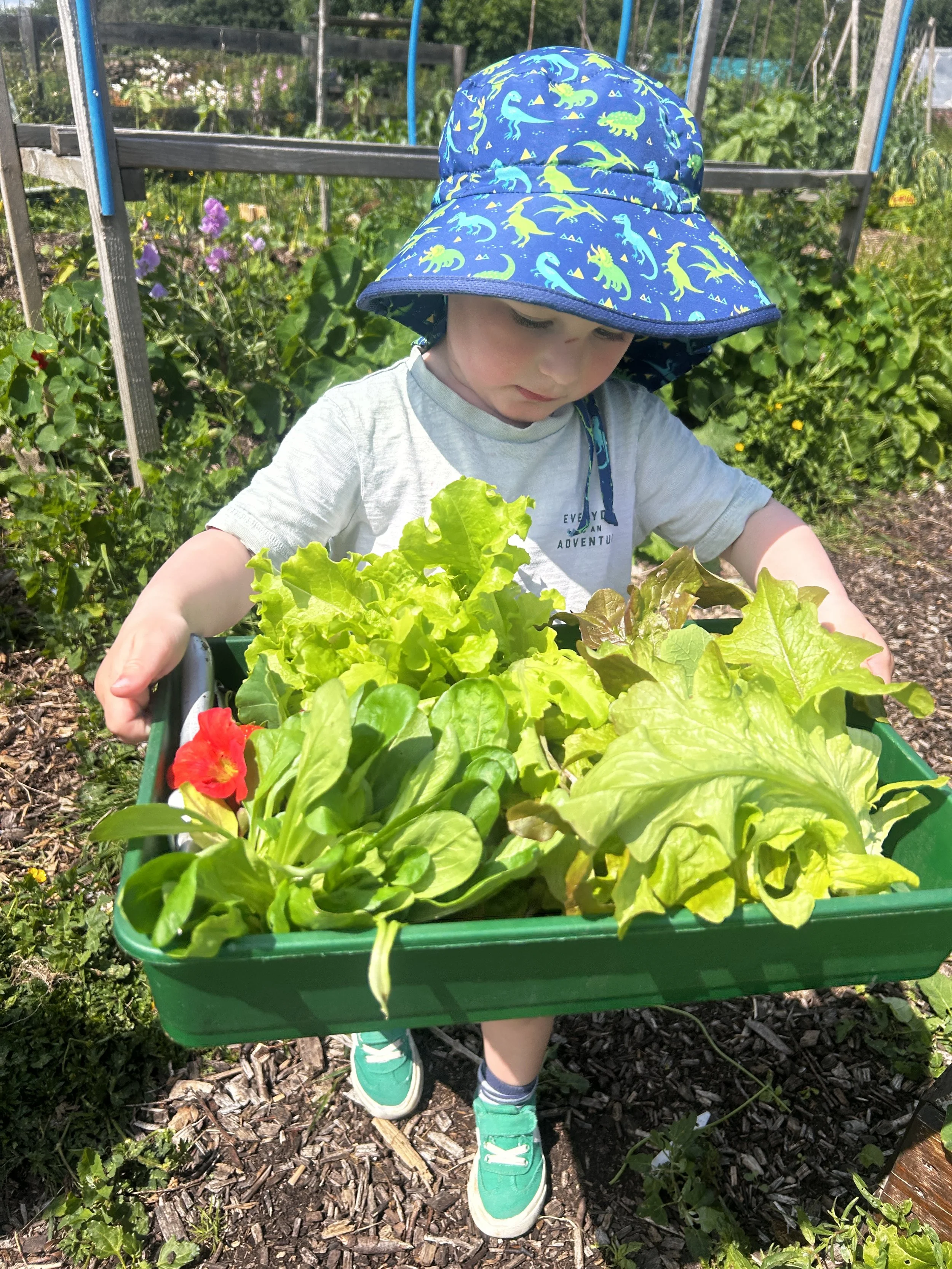 IMG_5223.JPG